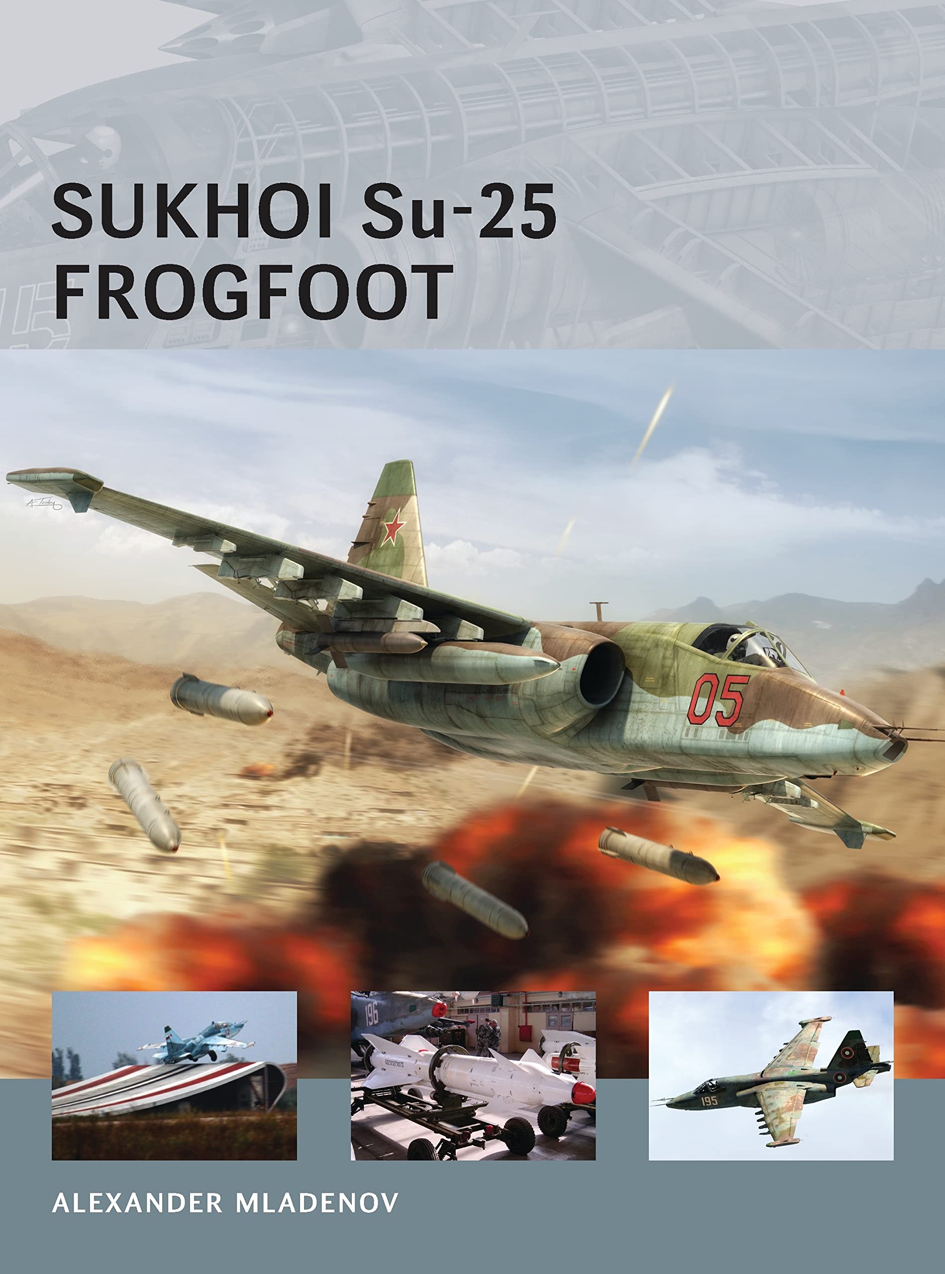 Sukhoi Su-25 Frogfoot (Air Vanguard) Social Sciences