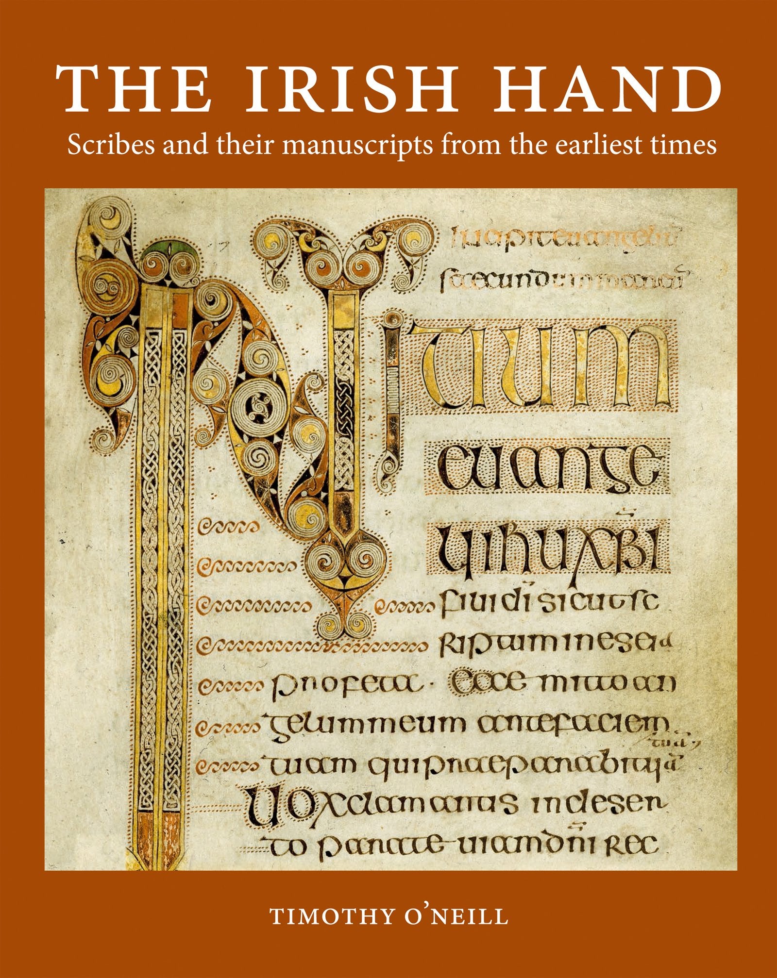 The Irish Hand: Scribes and Their Manuscripts from the Earliest Times book