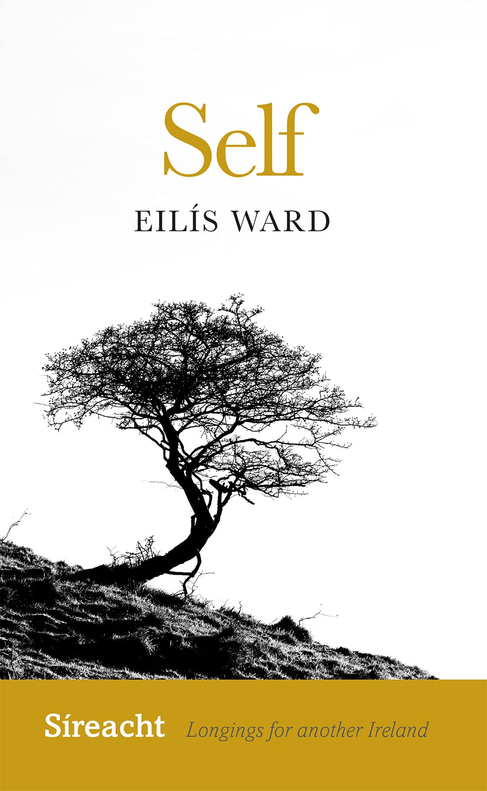 Self (Síreacht: Longings for Another Ireland, 5, Band 5) Lifestyle