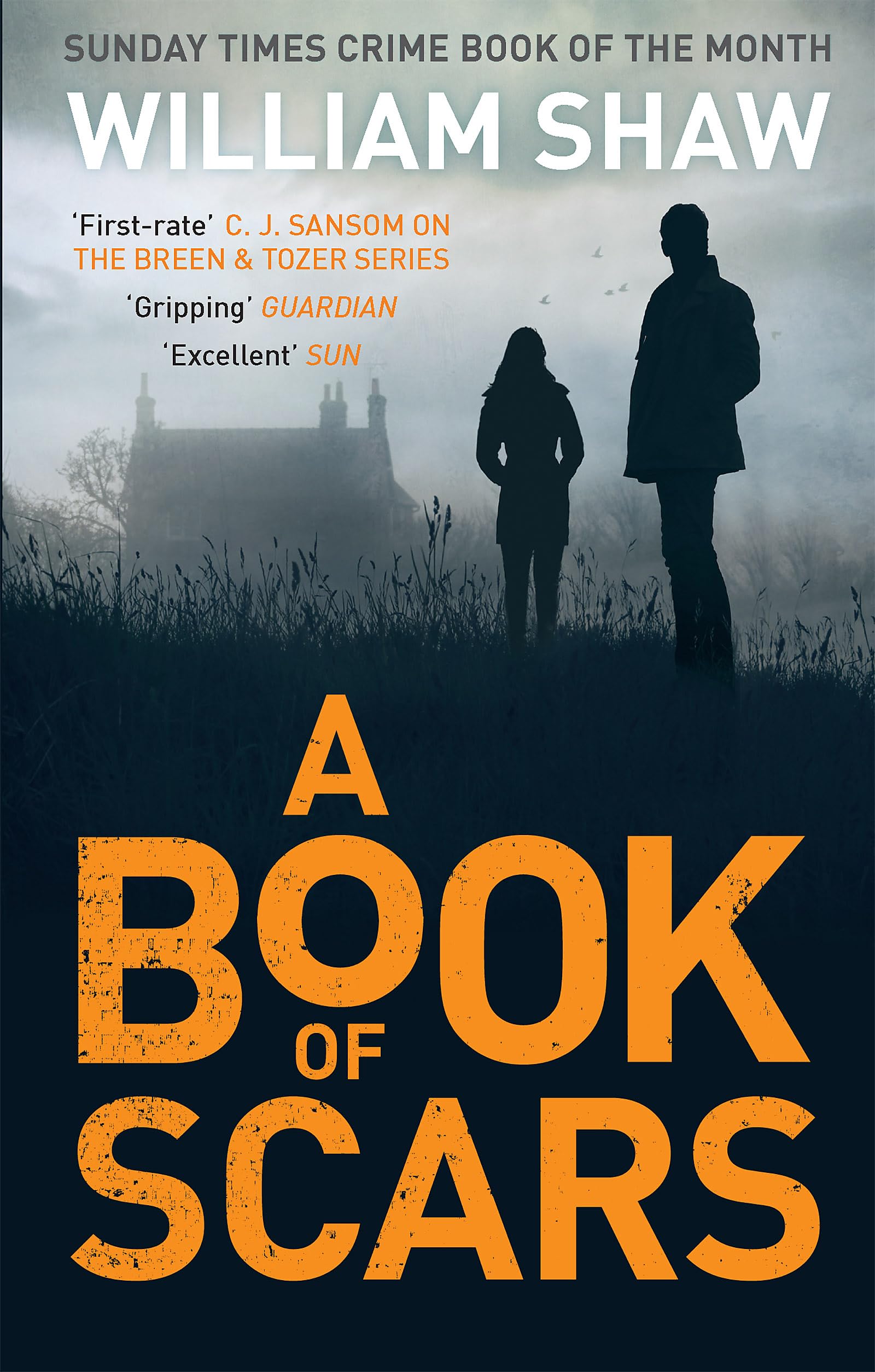 A Book of Scars Historical Fiction