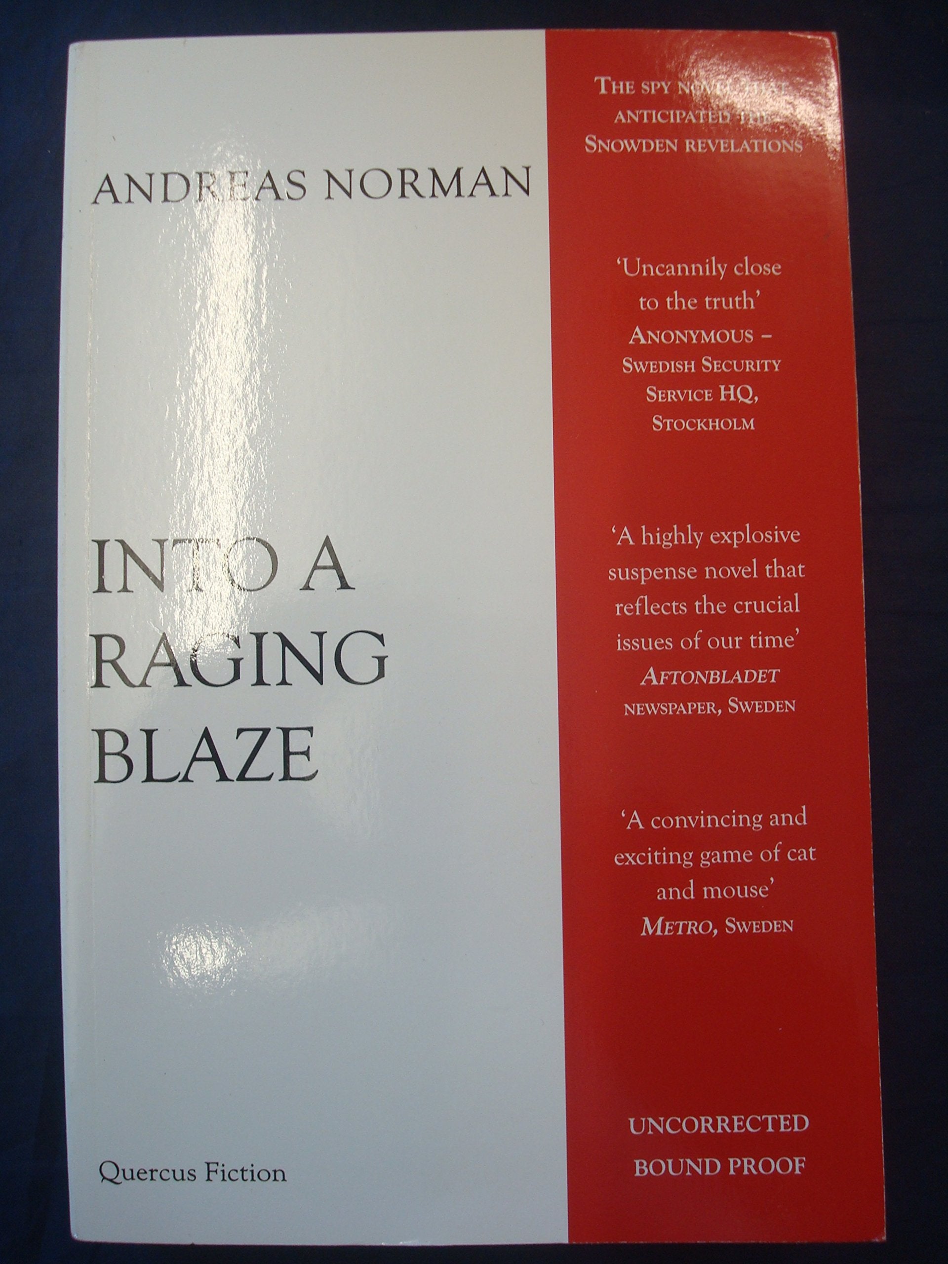 Into a Raging Blaze Contemporary literature Books