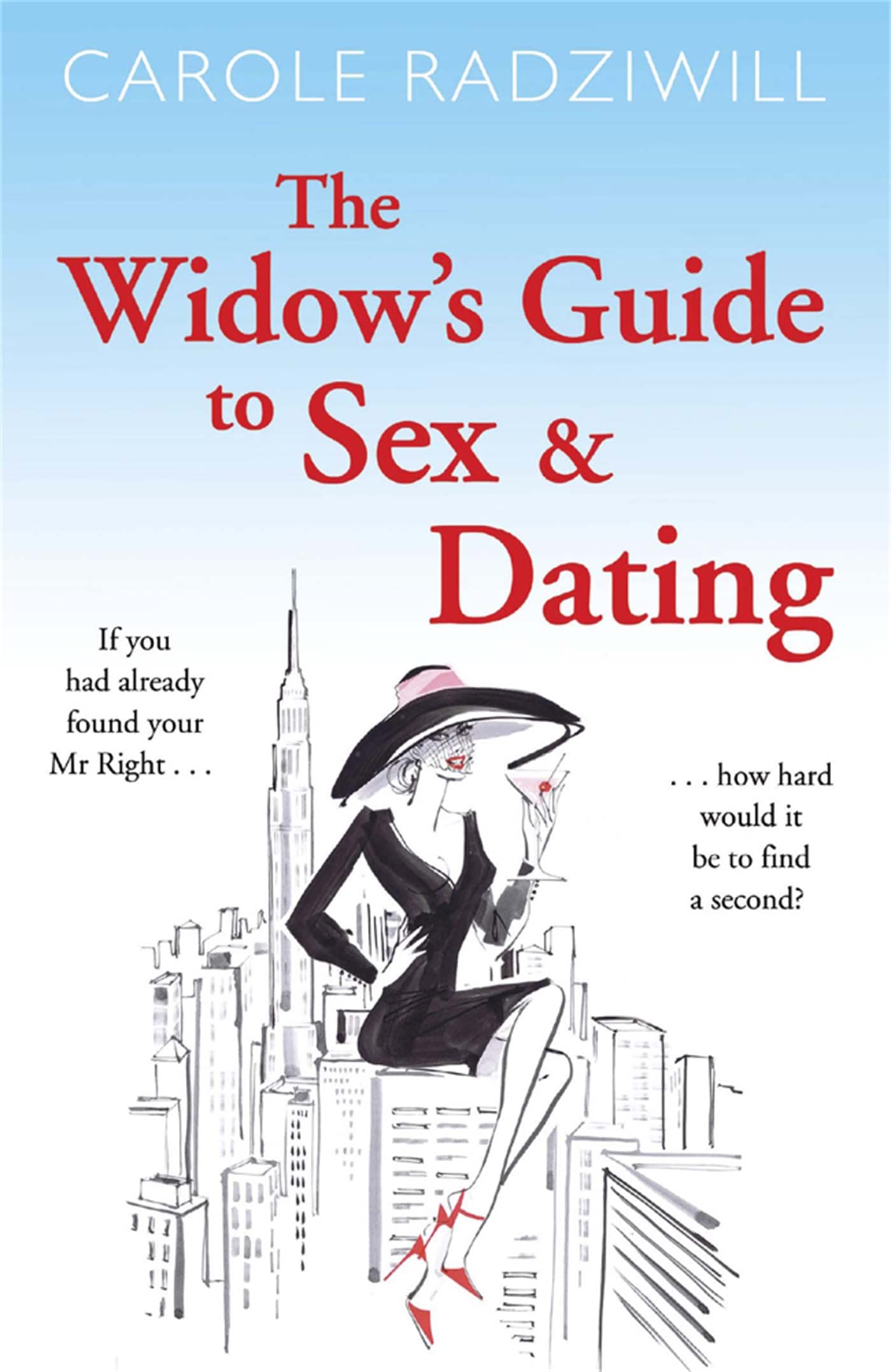 The Widow's Guide to Sex and Dating Contemporary literature