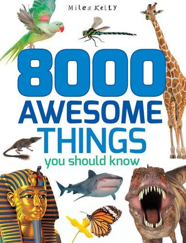 8000 Awesome Things You Should Know (512-Page Fact) by Miles Kelly (2016-08-01) Books