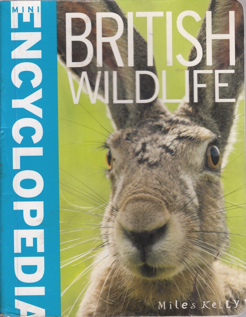 Mini Encyclodedia - British Wildlife (Mini Encyclopedia) Natural Sciences