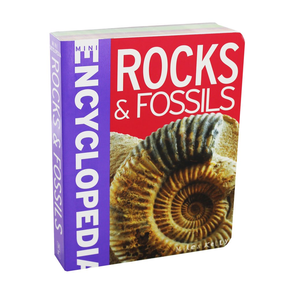 Product Image: Mini Encyclodedia Rocks & Fossils (Mini Encyclopedia)