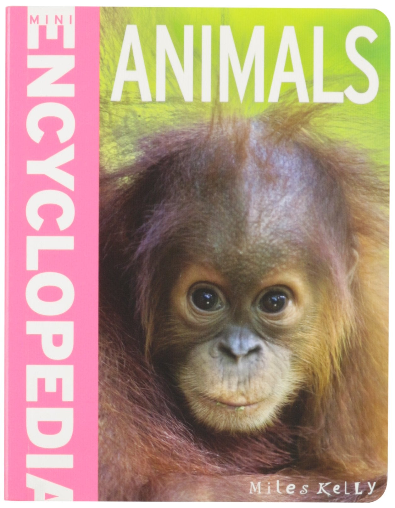 Mini Encyclodedia - Animals: A Fantastic Resource for School Projects and Homework at Lat (Mini Encyclopedias) Non-fiction