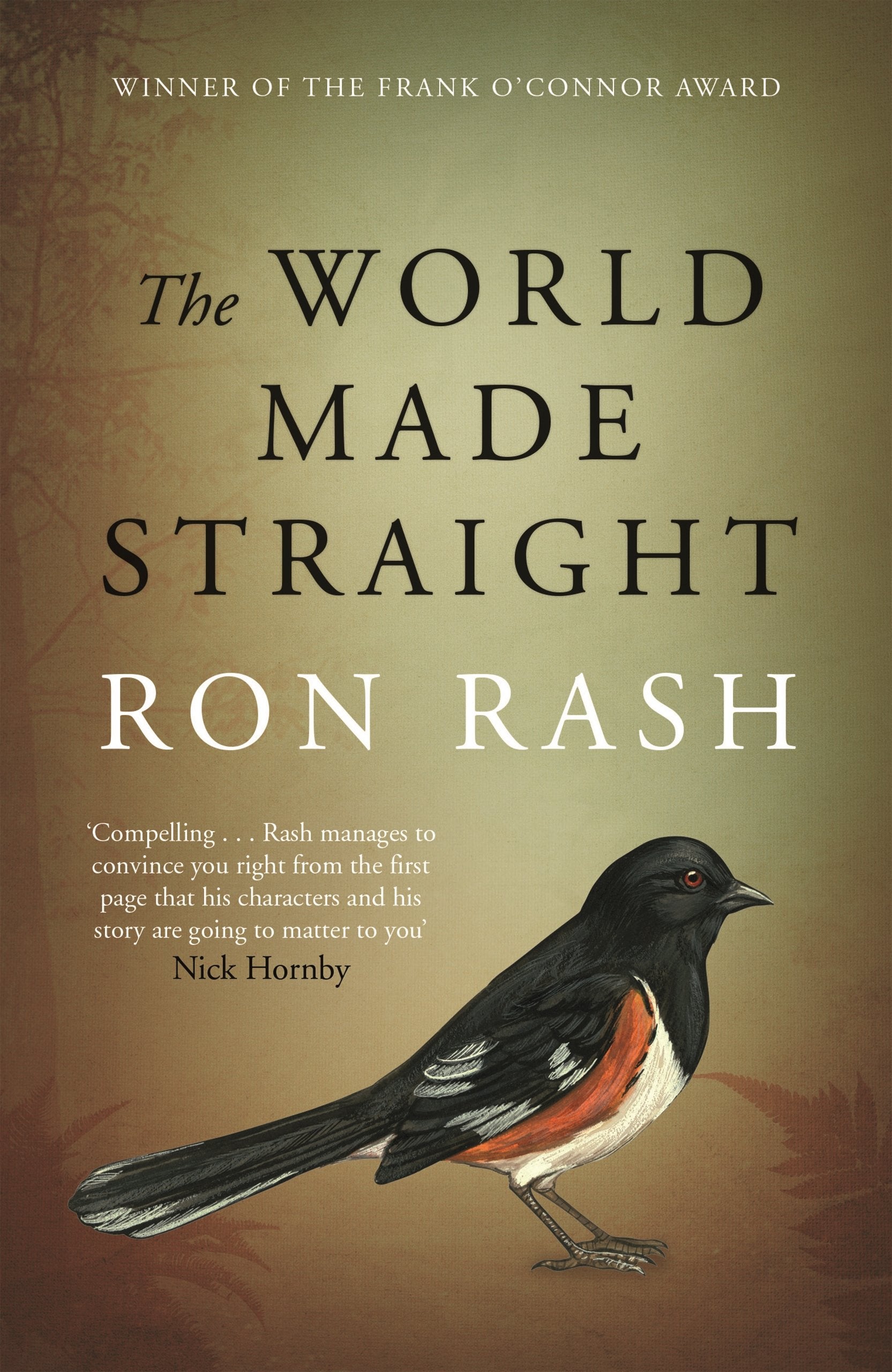 Product Image: The World Made Straight