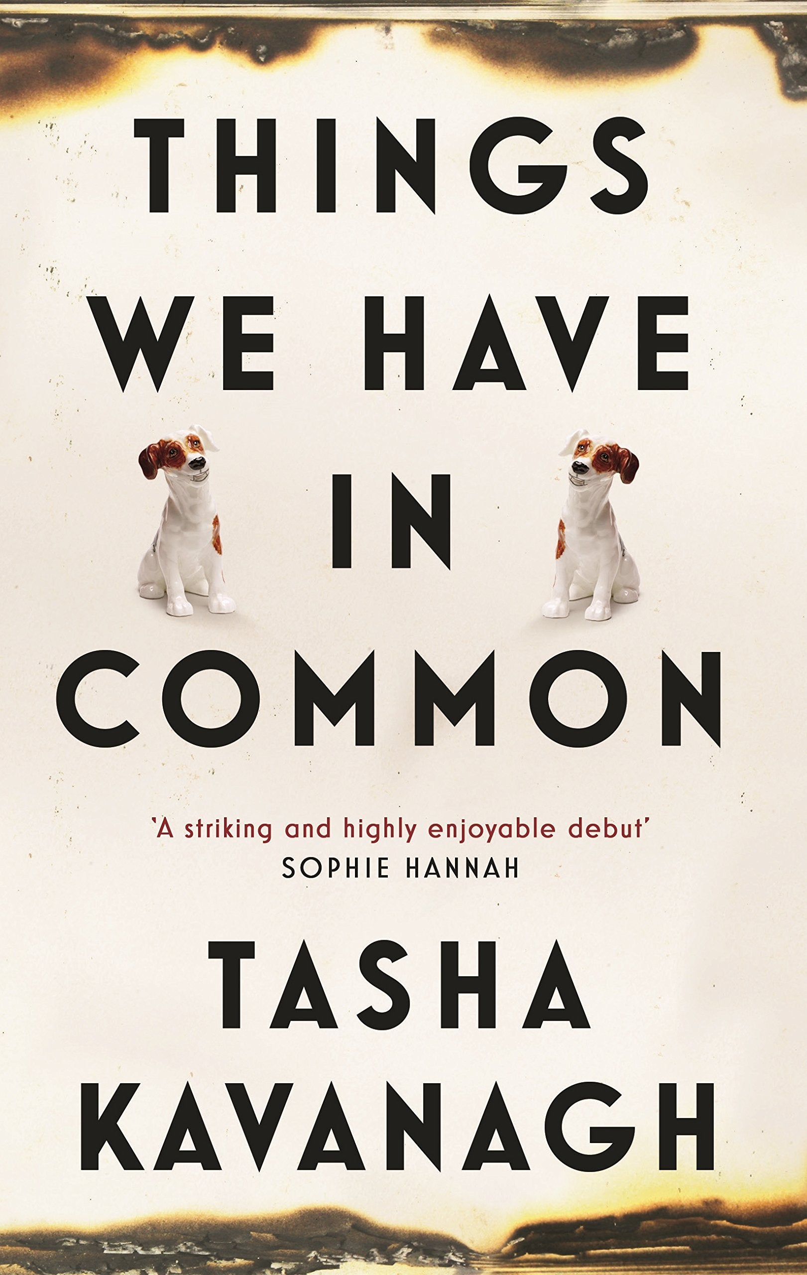 Things We Have in Common Contemporary literature Books