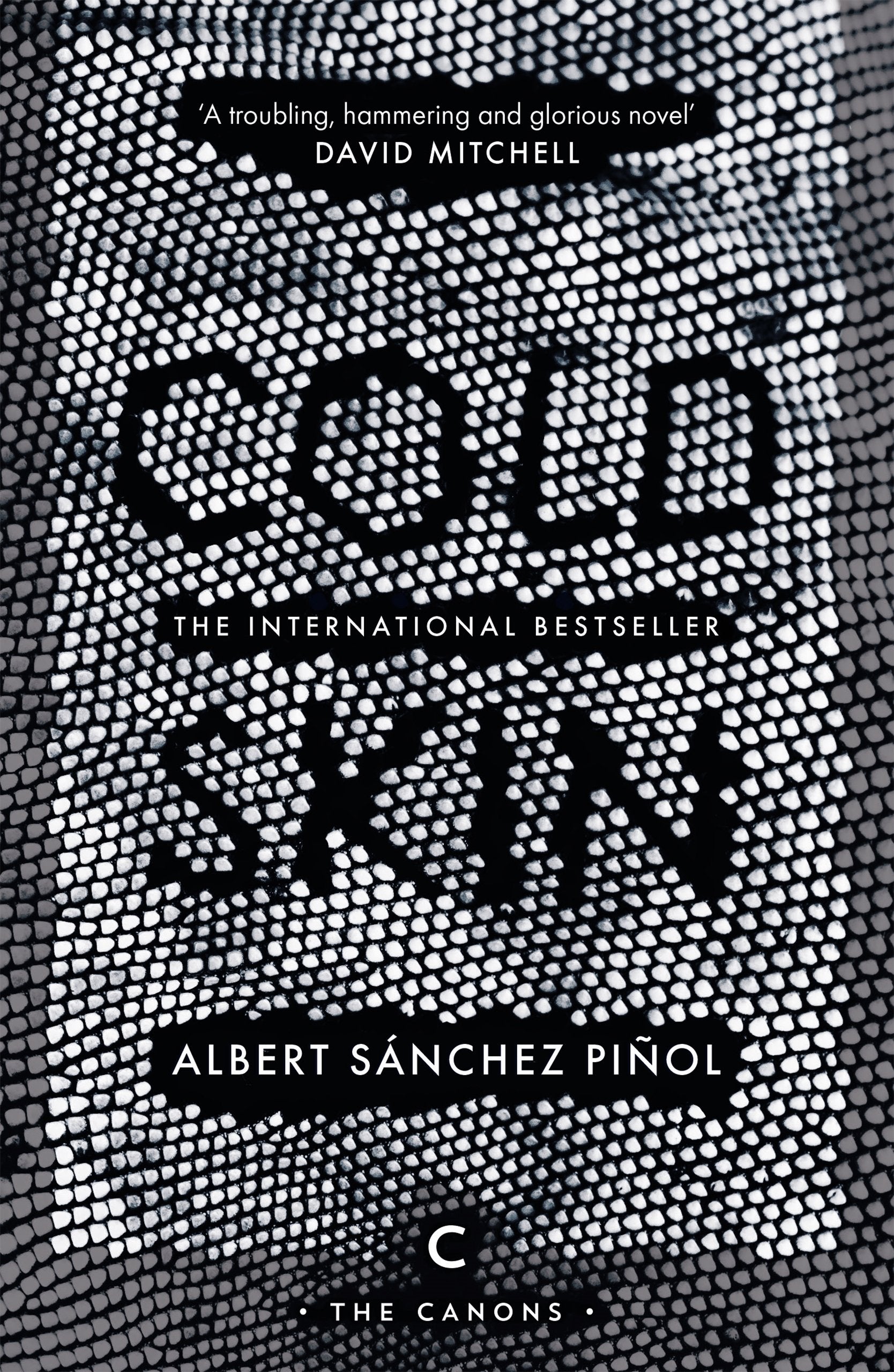 Cold Skin Contemporary literature Books