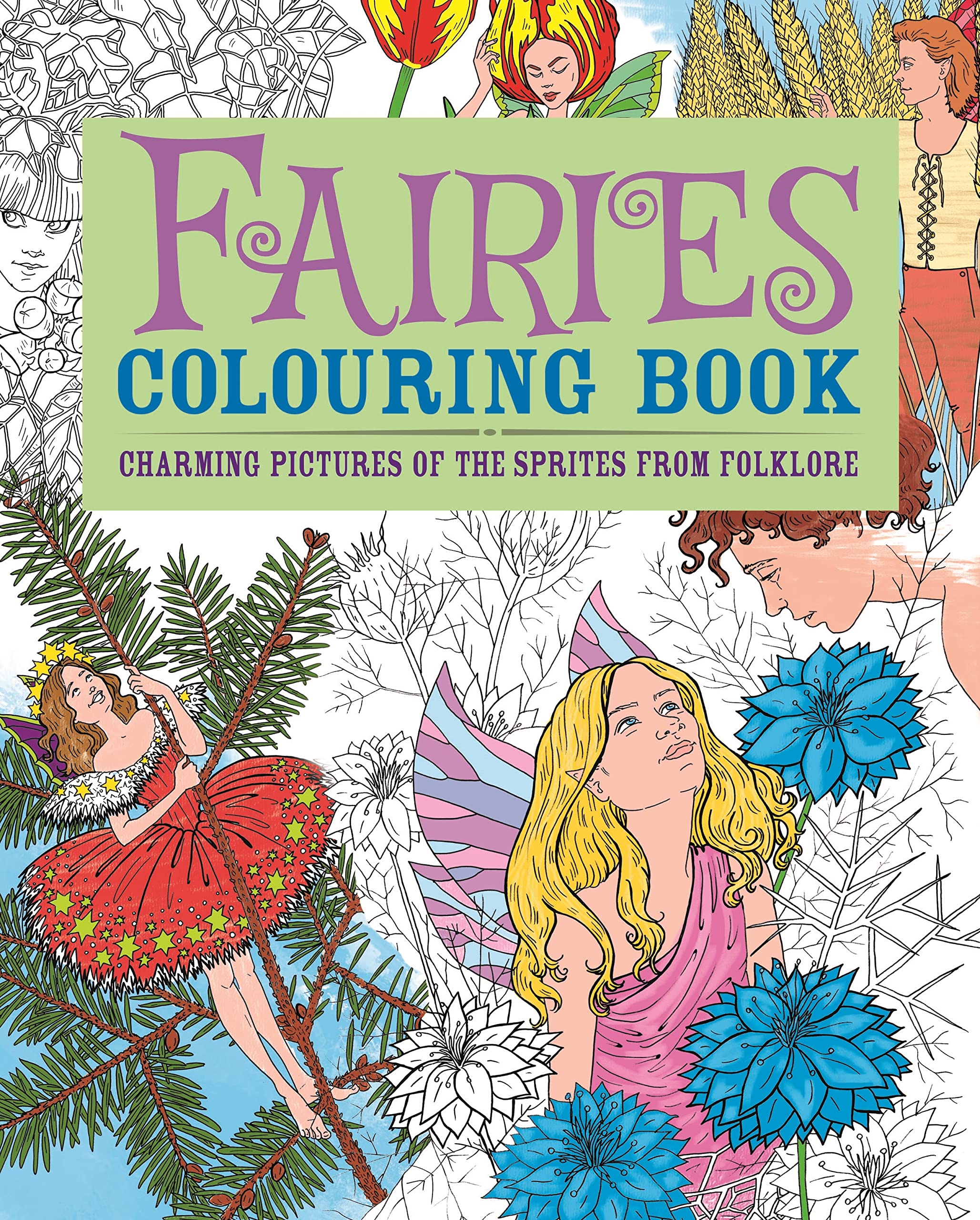 Fairies Coloring Book: Charming Pictures of the Sprites from Folklore book
