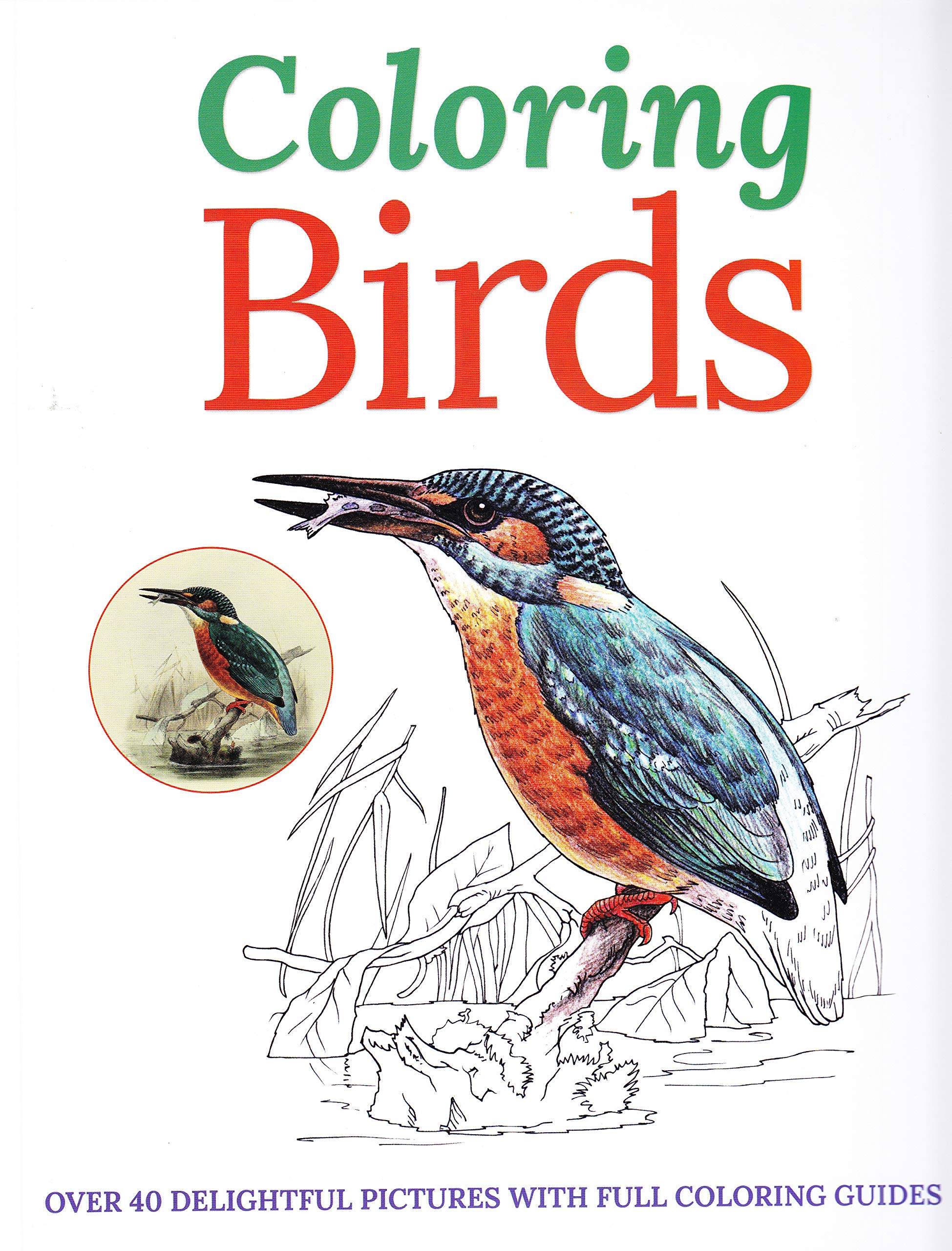 Coloring Birds: Over 40 Delightful Pictures with Full Coloring Guides Social Sciences