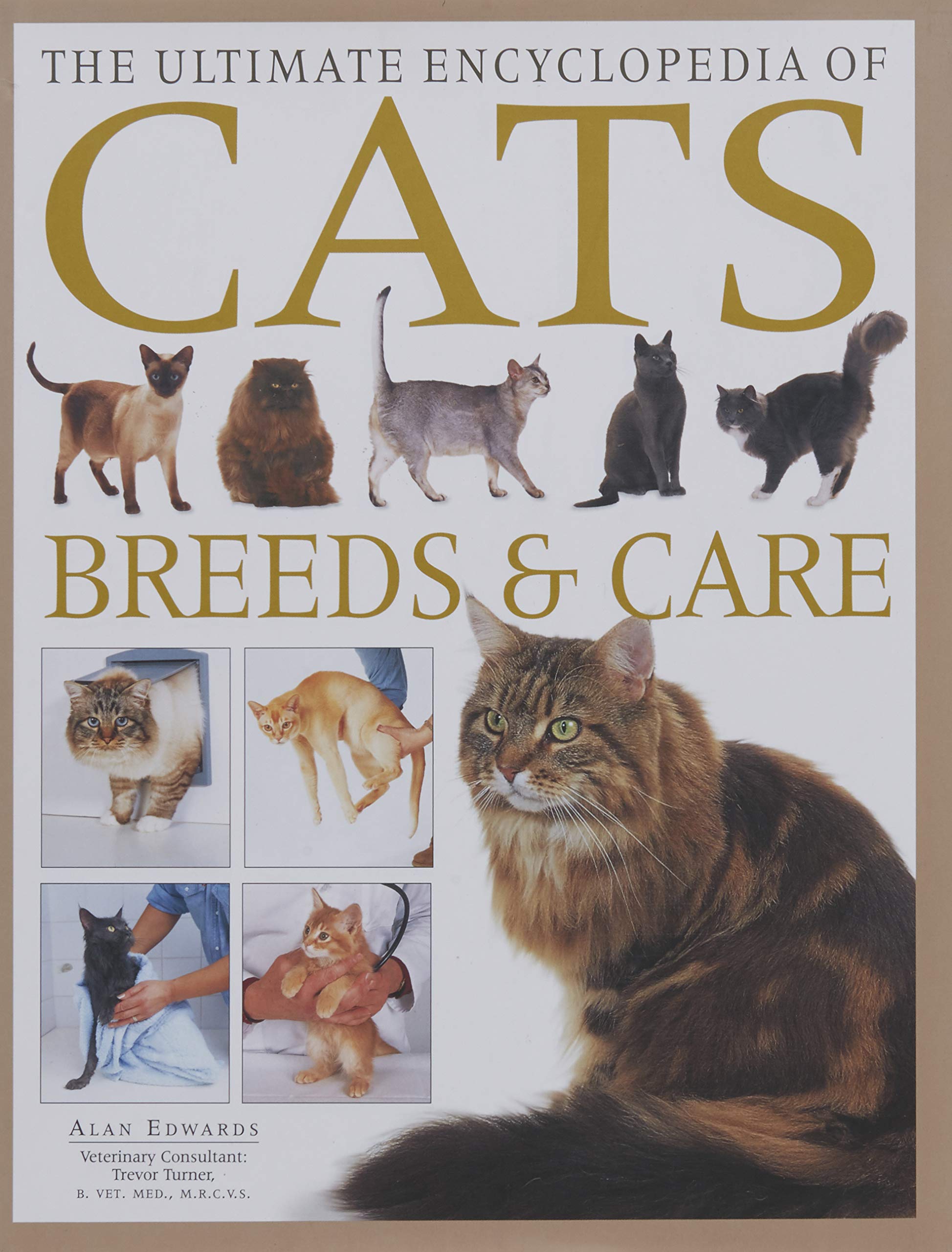 The Ultimate Encyclopedia of Cats: Breeds & Care Books