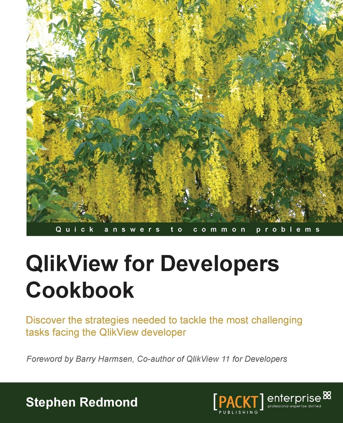 QlikView for Developers Cookbook: Discover the Strategies Needed to Tackle the Most Challenging Tasks Facing the Qlickview Developer Business, Finance & Career