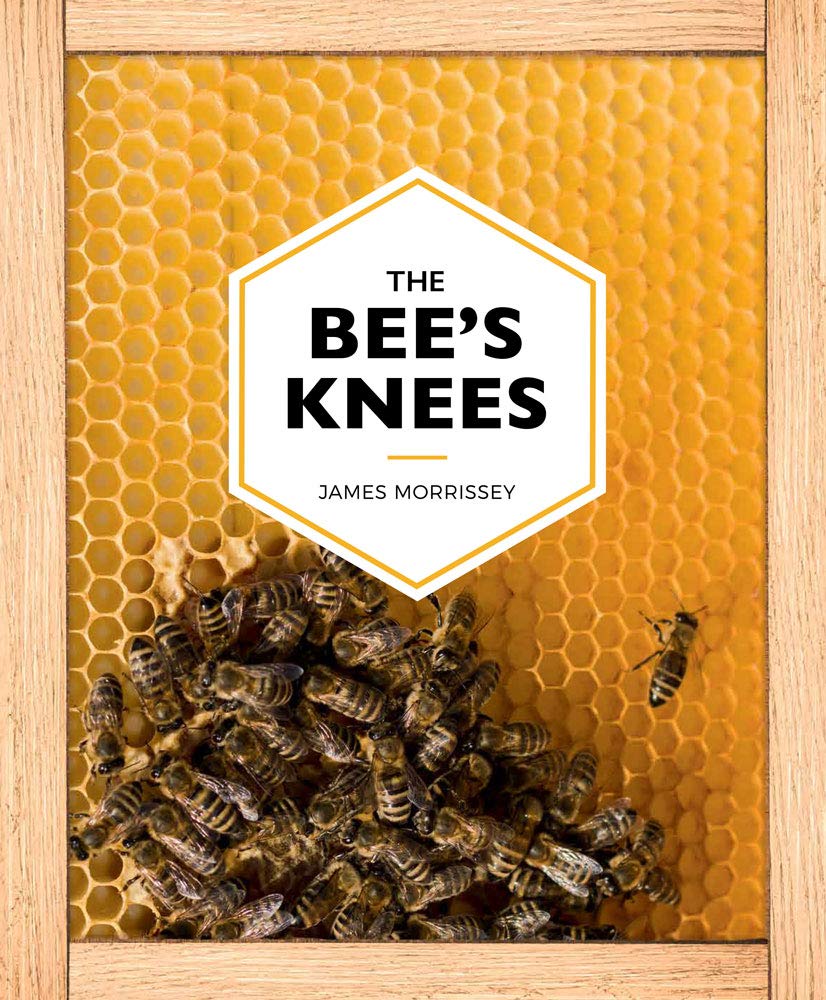 The Bee's Knees Mathematics Books