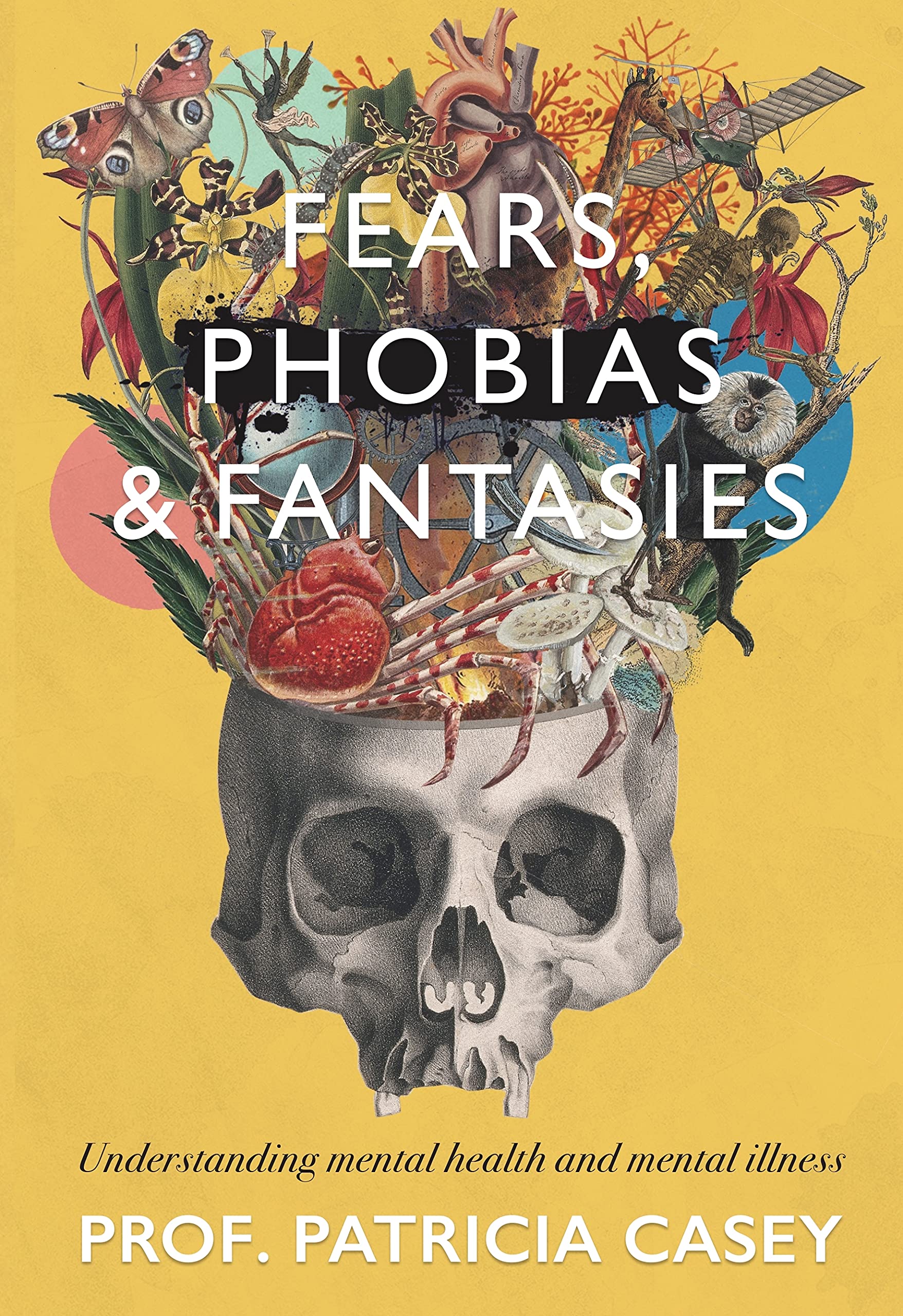 Fears, Phobias & Fantasies: Understanding Mental Illness and Mental Health Medicine
