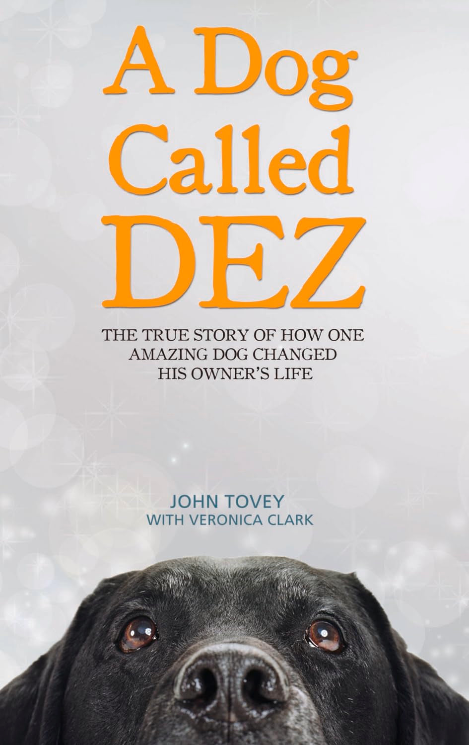 A Dog Called Dez: The True Story of How One Amazing Dog Changed His Owner's Life Politics & Society