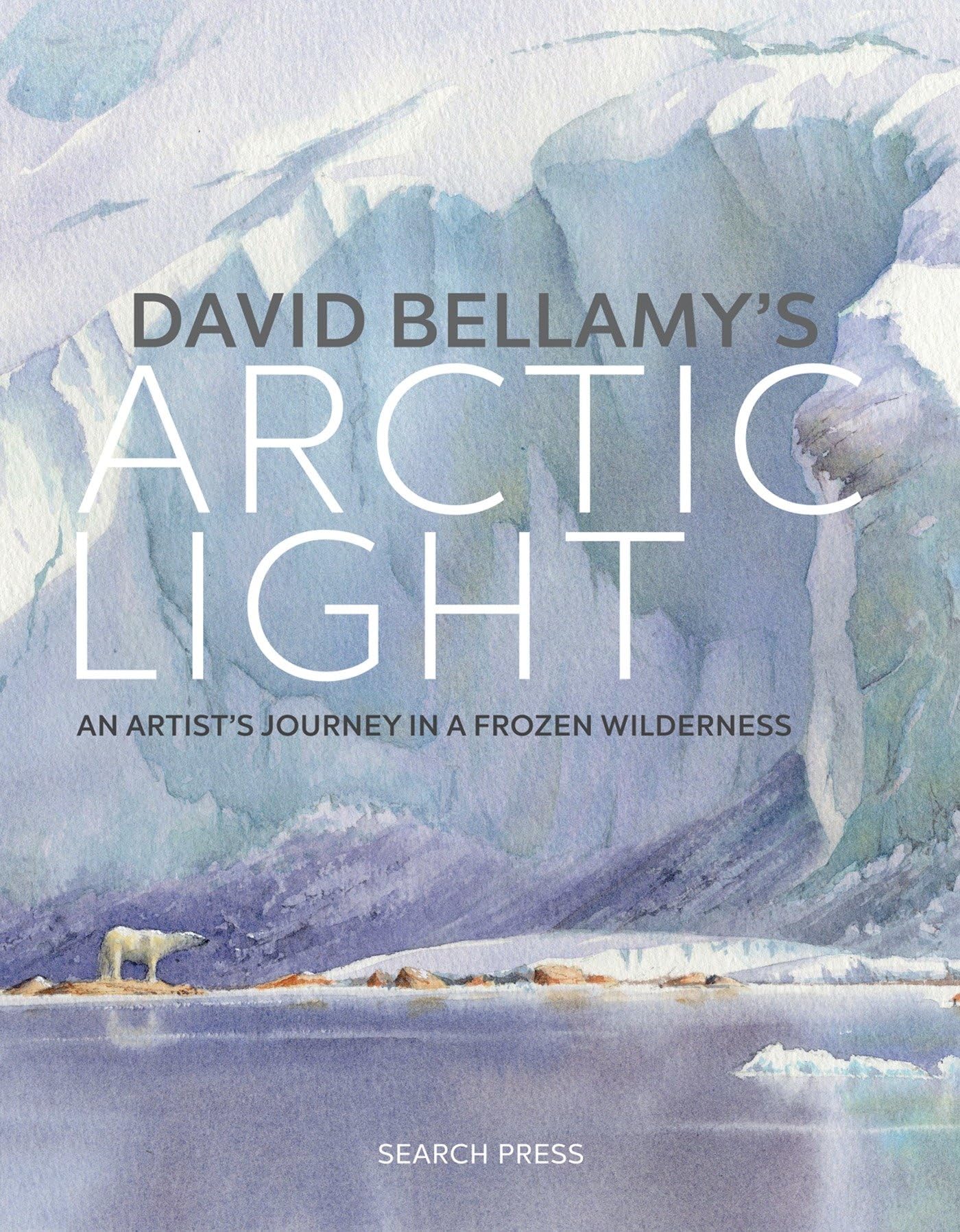 David Bellamy's Arctic Light: An artist's journey in a frozen wilderness Mathematics