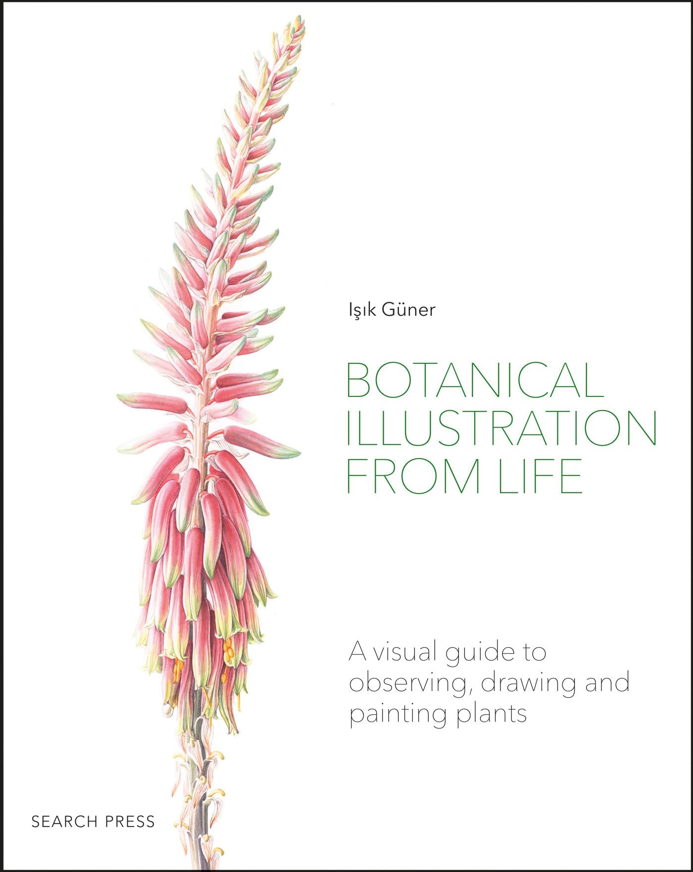 Product Image: Botanical Illustration from Life