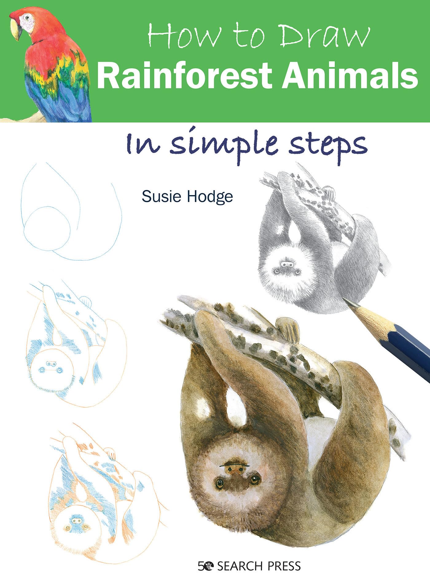 How to Draw Rainforest Animals in Simple Steps Social Sciences