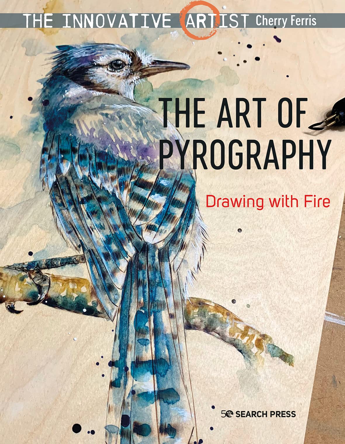 The Art of Pyrography: Drawing With Fire (Innovative Artist) Film, Art & Culture