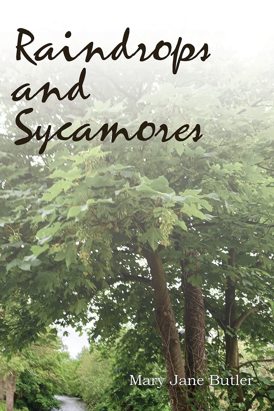 Raindrops and Sycamores LGBTQ+