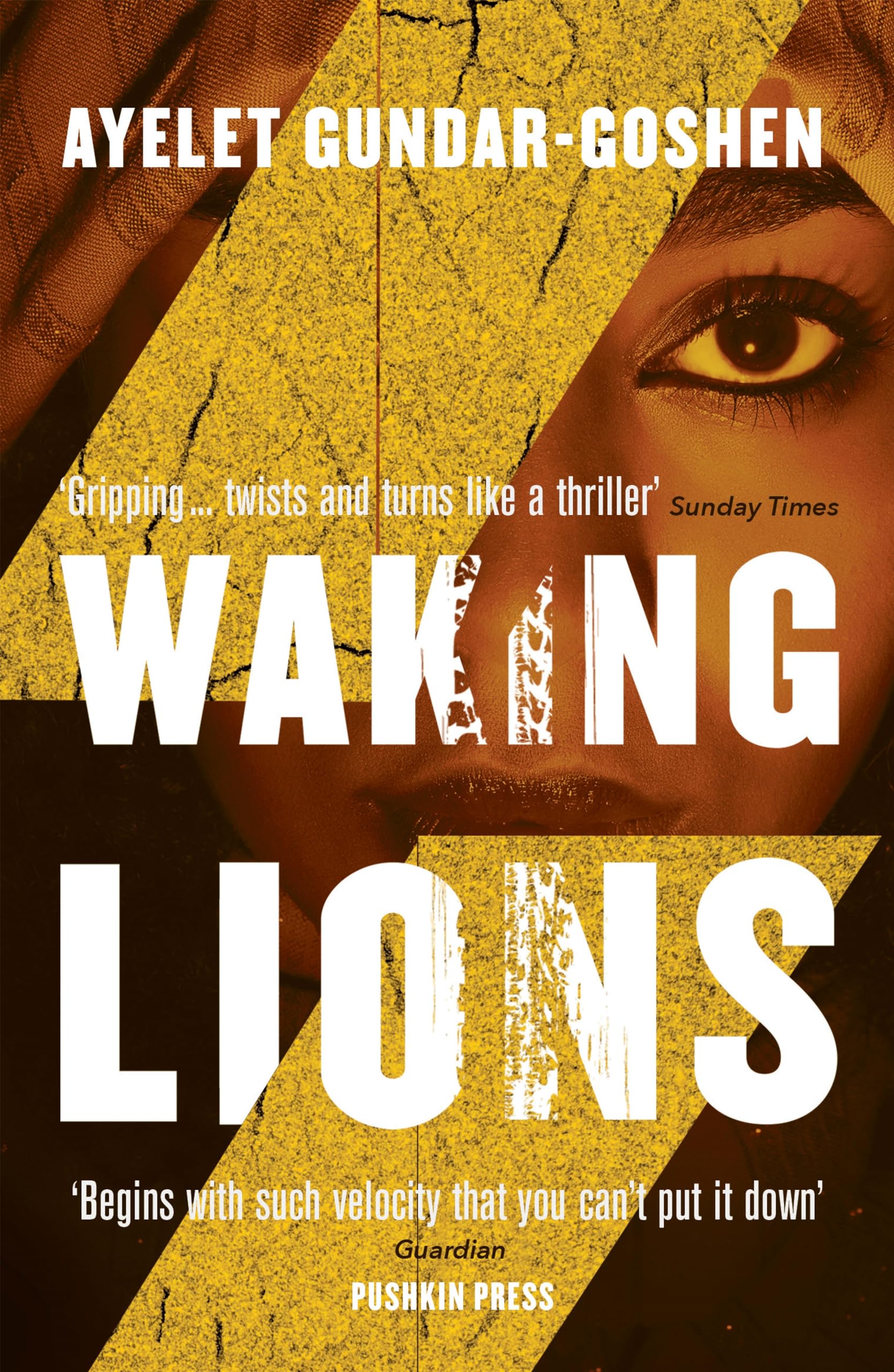 Waking Lions Contemporary literature Books