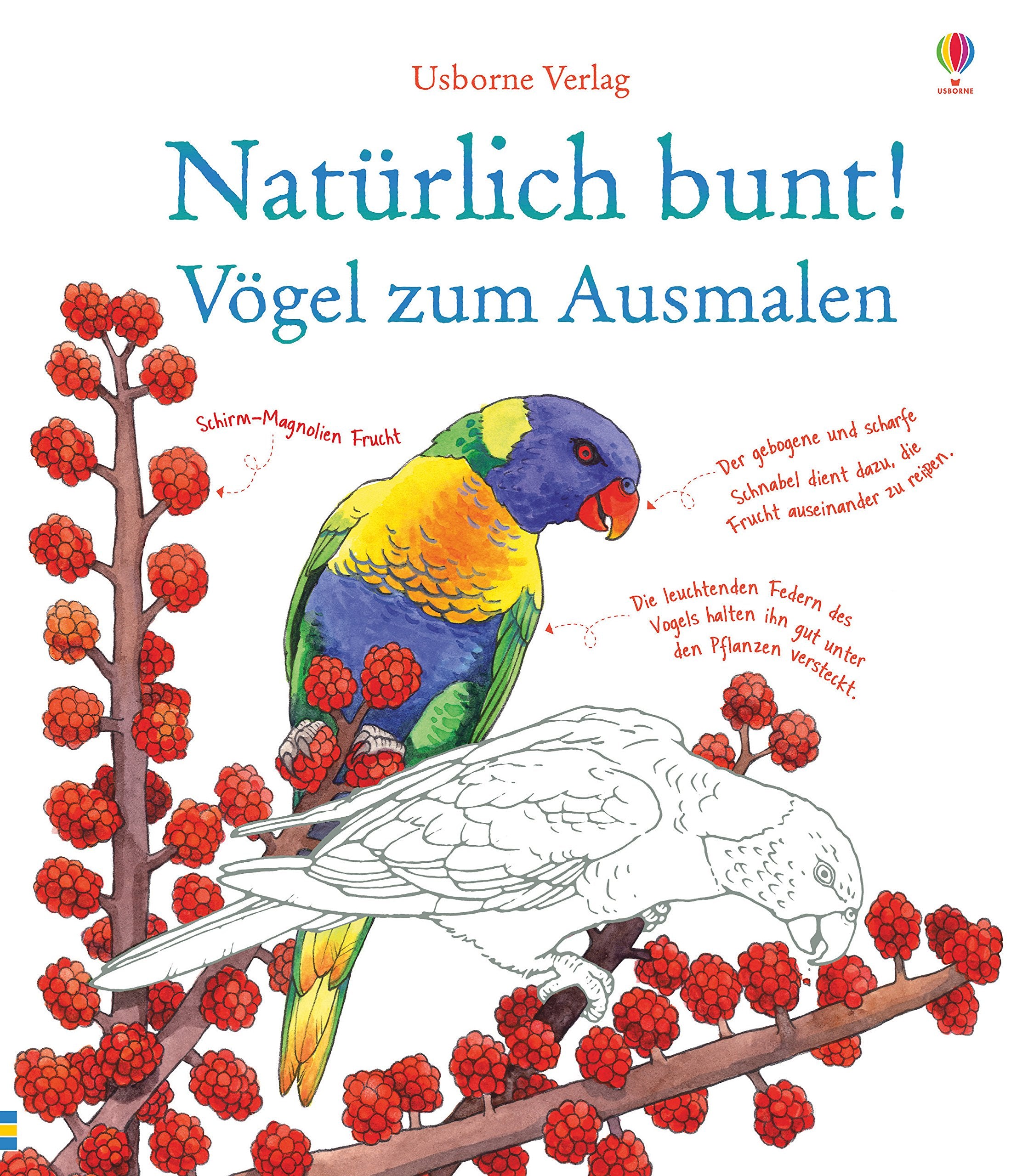 Natürlich bunt! Vögel zum Ausmalen Non-fiction