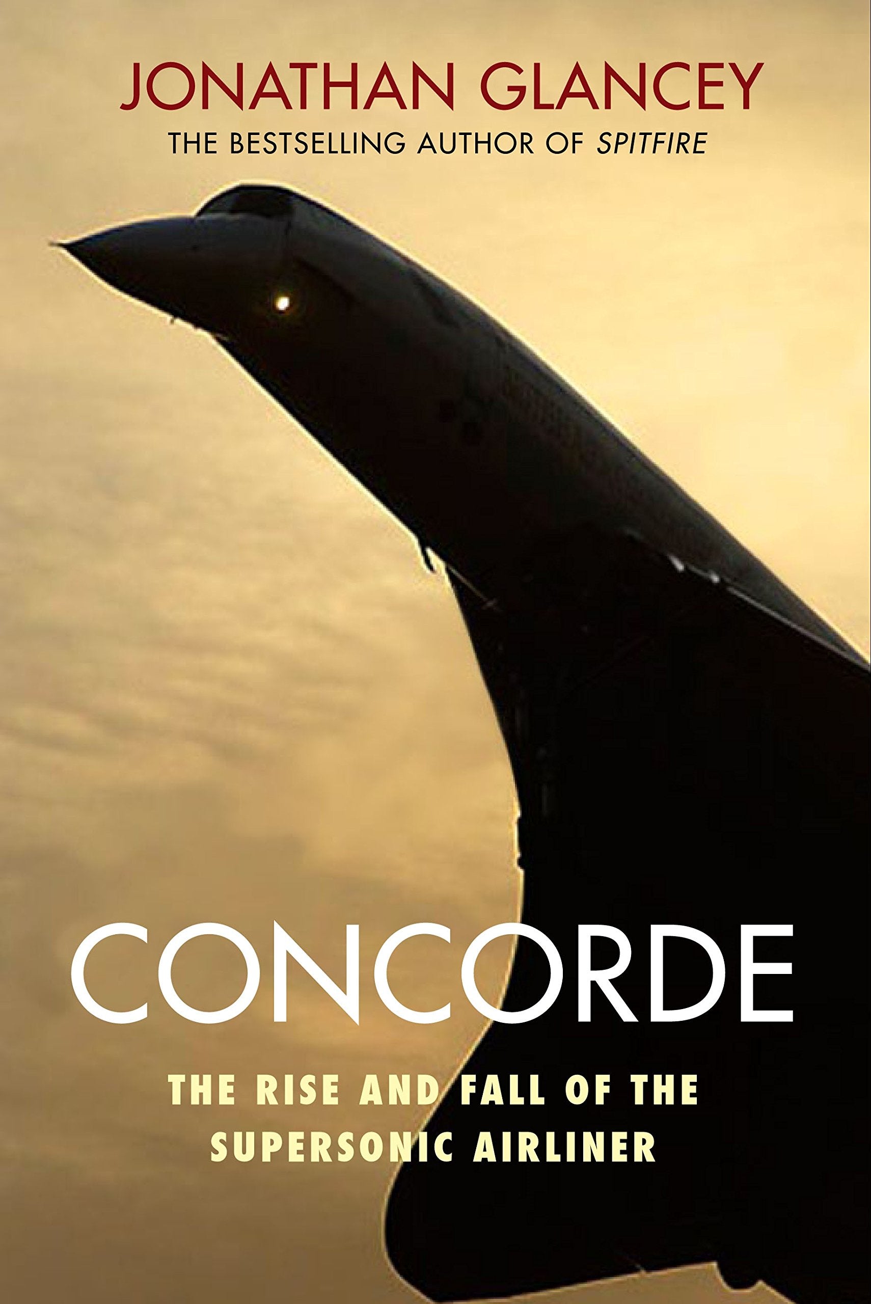 Concorde: The Rise and Fall of the Supersonic Airliner Leisure, Home & Garden