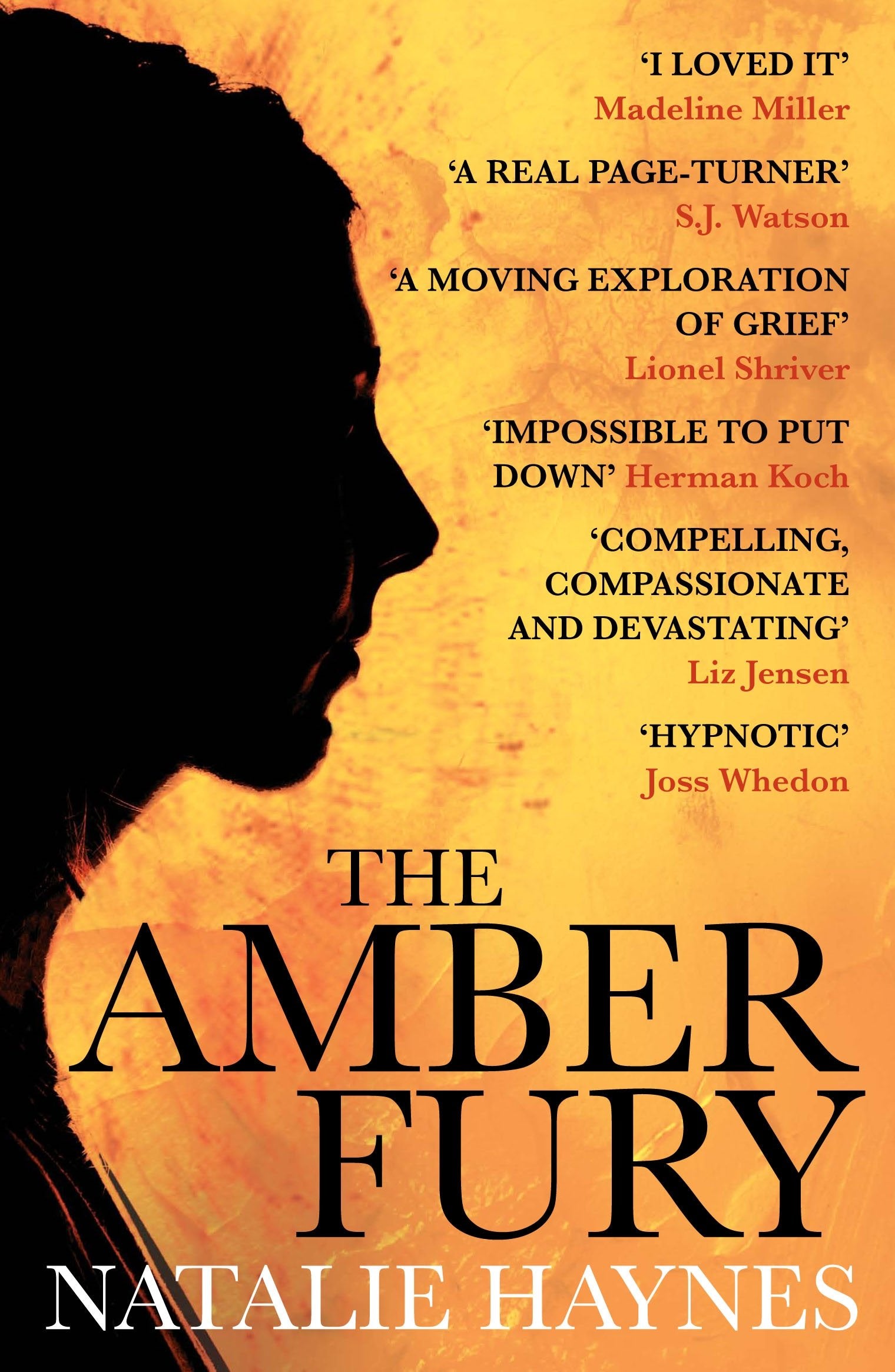 The Amber Fury: 'I loved it' Madeline Miller Contemporary literature
