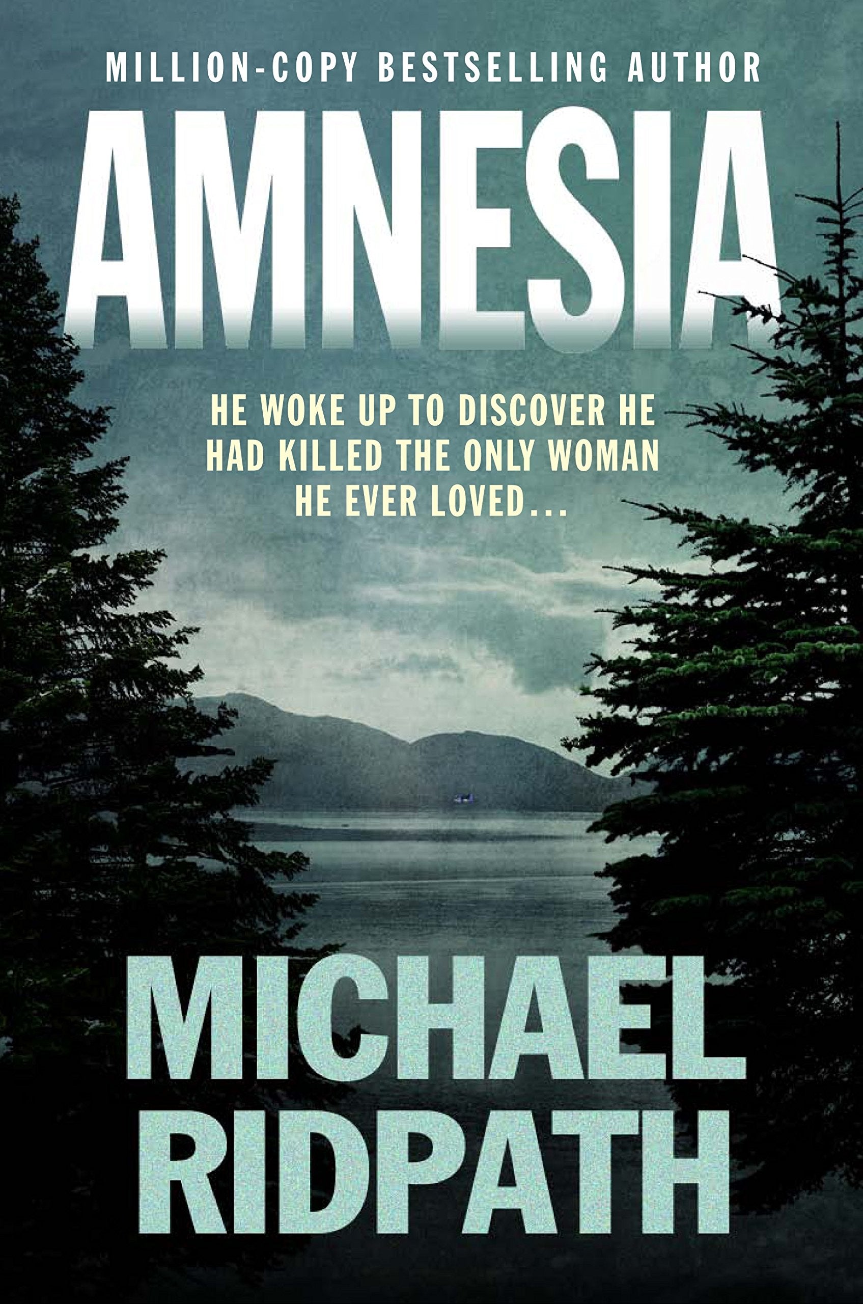Amnesia: An 'ingenious' and 'twisting novel', perfect for fans of Peter Lovesey and William Ryan book