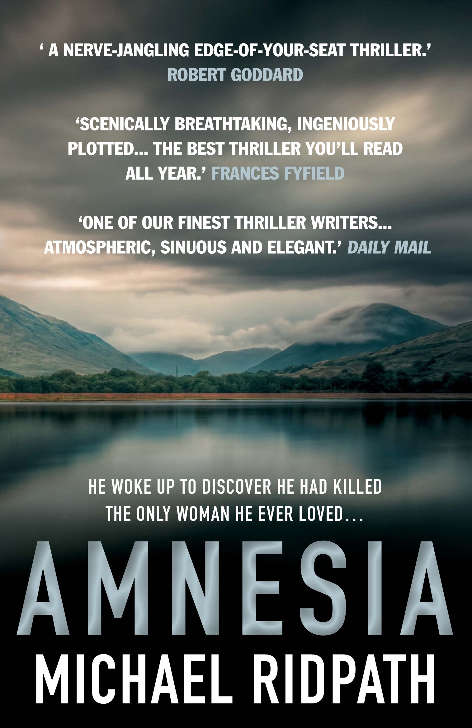 Amnesia: An 'ingenious' and 'twisting novel', perfect for fans of Peter Lovesey and William Ryan Contemporary literature