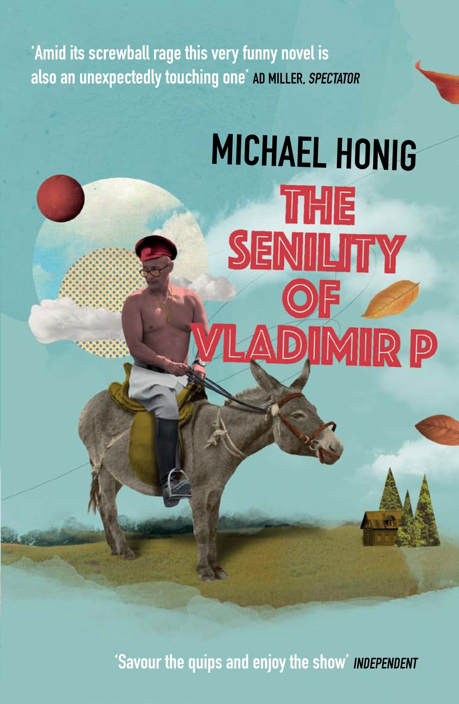 The Senility of Vladimir P Contemporary literature