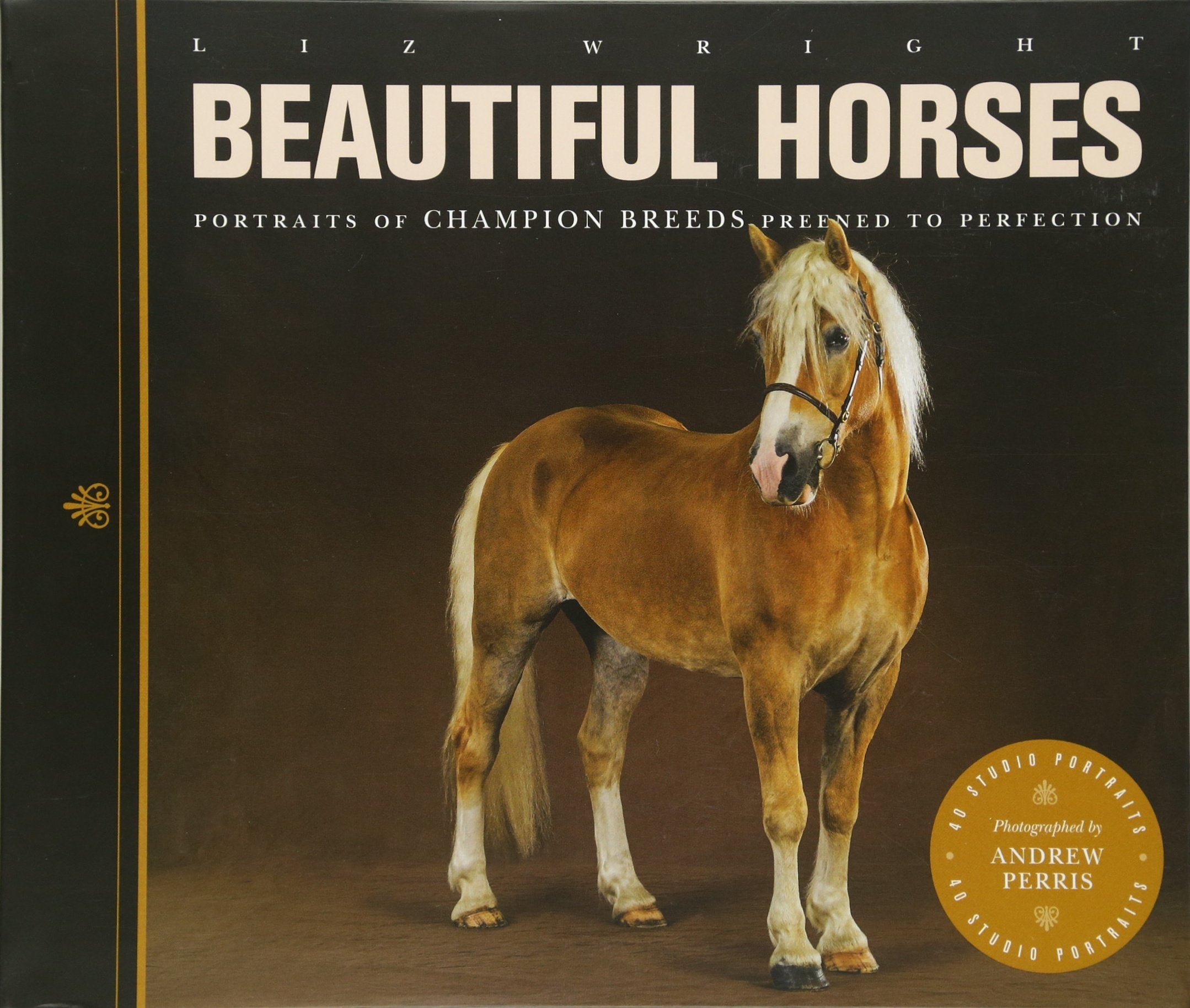 Beautiful Horses: Portraits of Champion Breeds: Portraits of Champion Breeds Preened to Perfection Mathematics