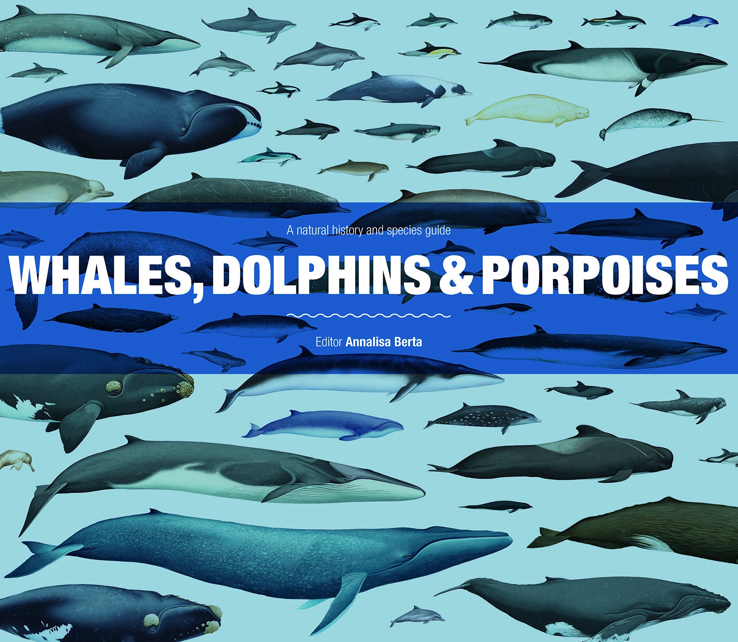 Whales, Dolphins and Porpoises : A natural history and species guide Mathematics