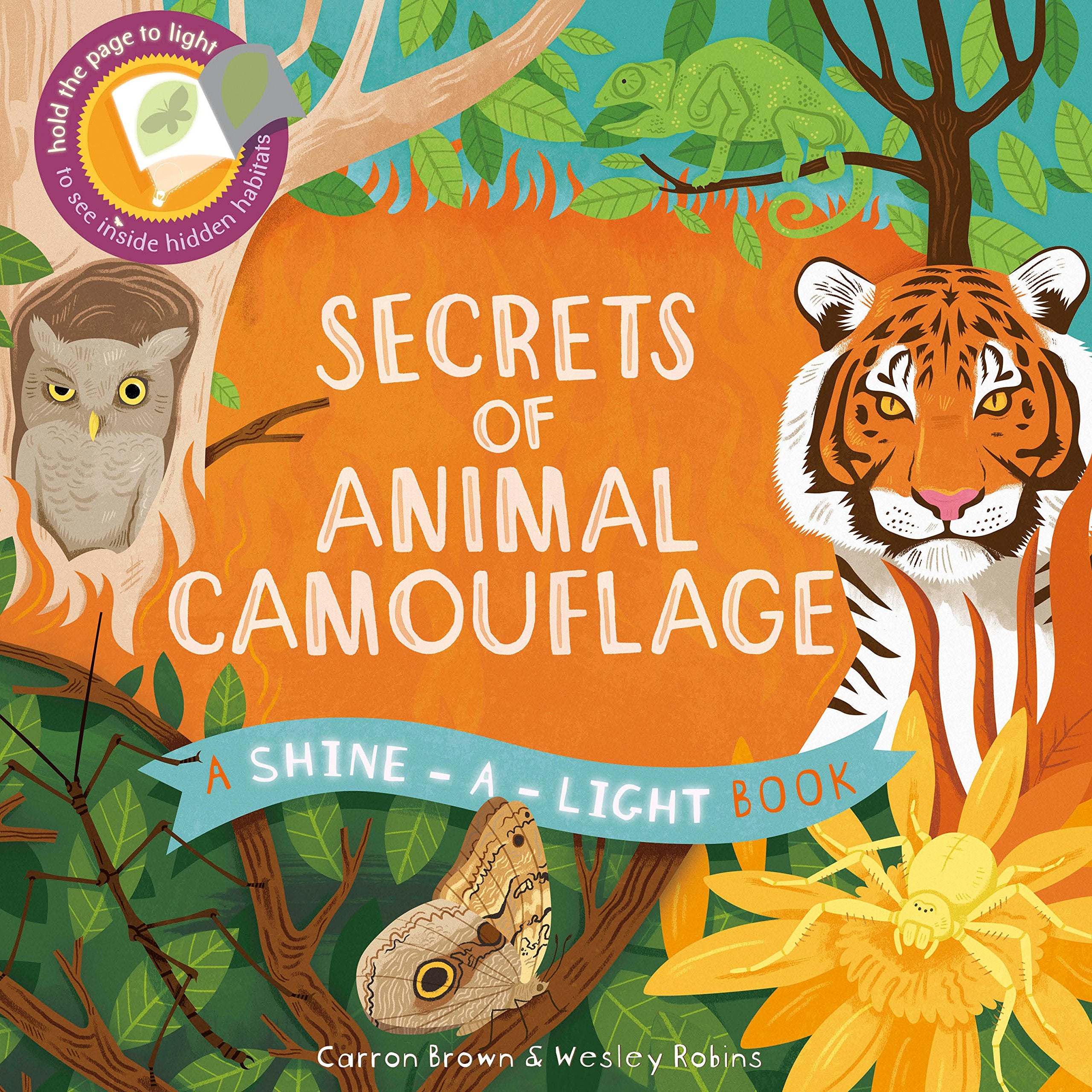 Shine a Light: Secrets of Animal Camouflage Novels & Short Stories