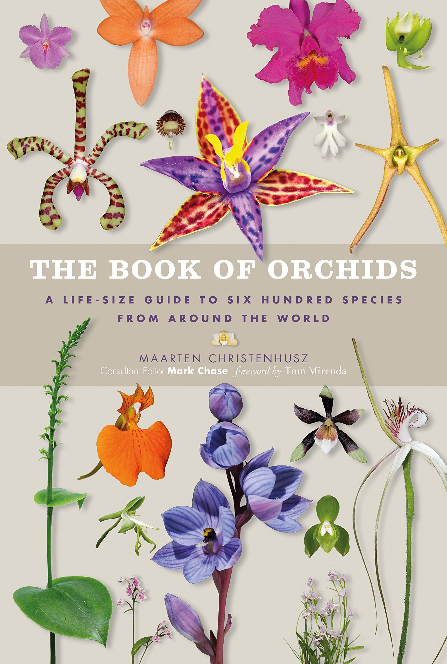 The Book of Orchids: A life-size guide to six hundred species from around the world Garden & Plants