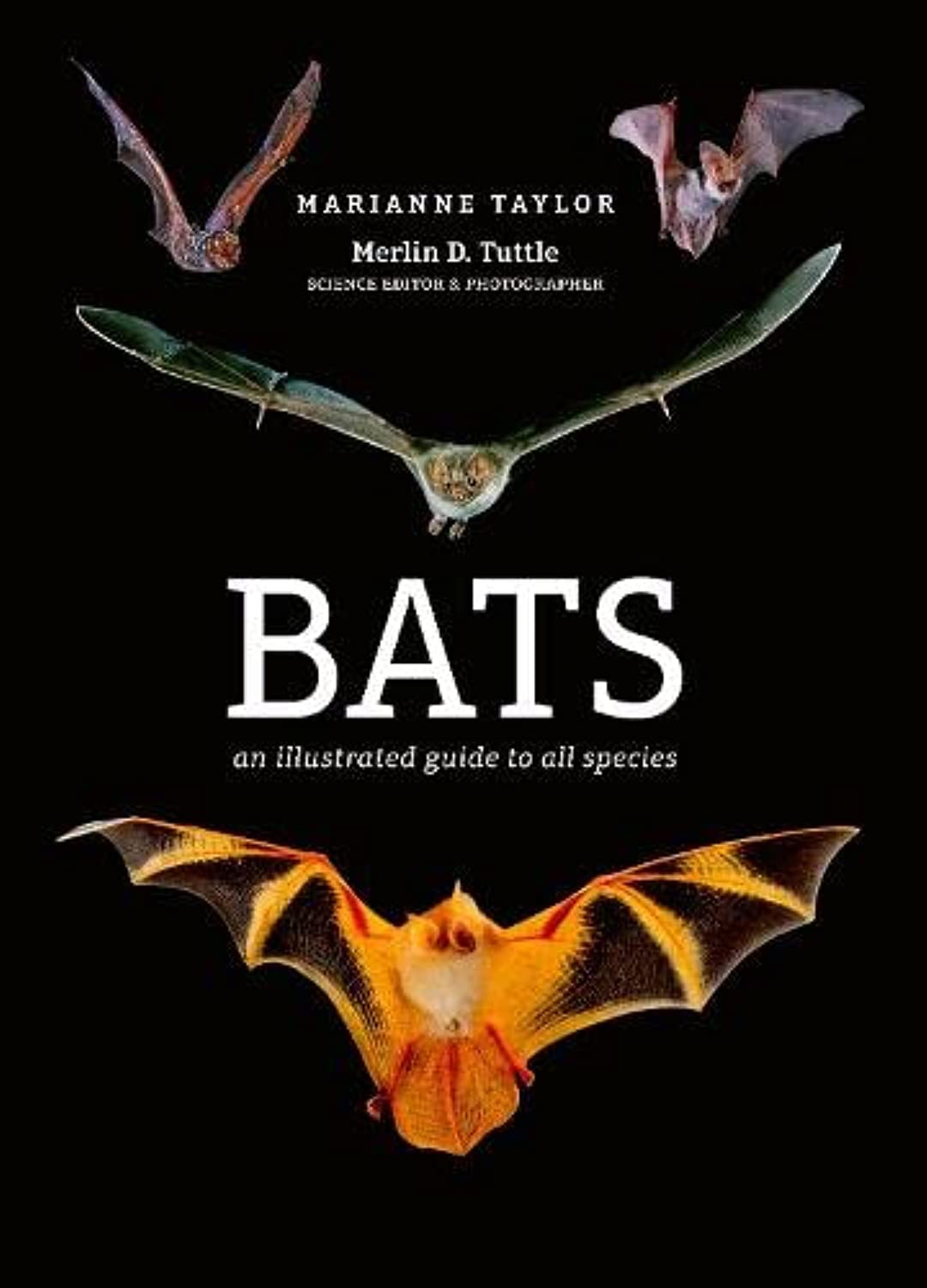 Bats: An illustrated guide to all species Mathematics