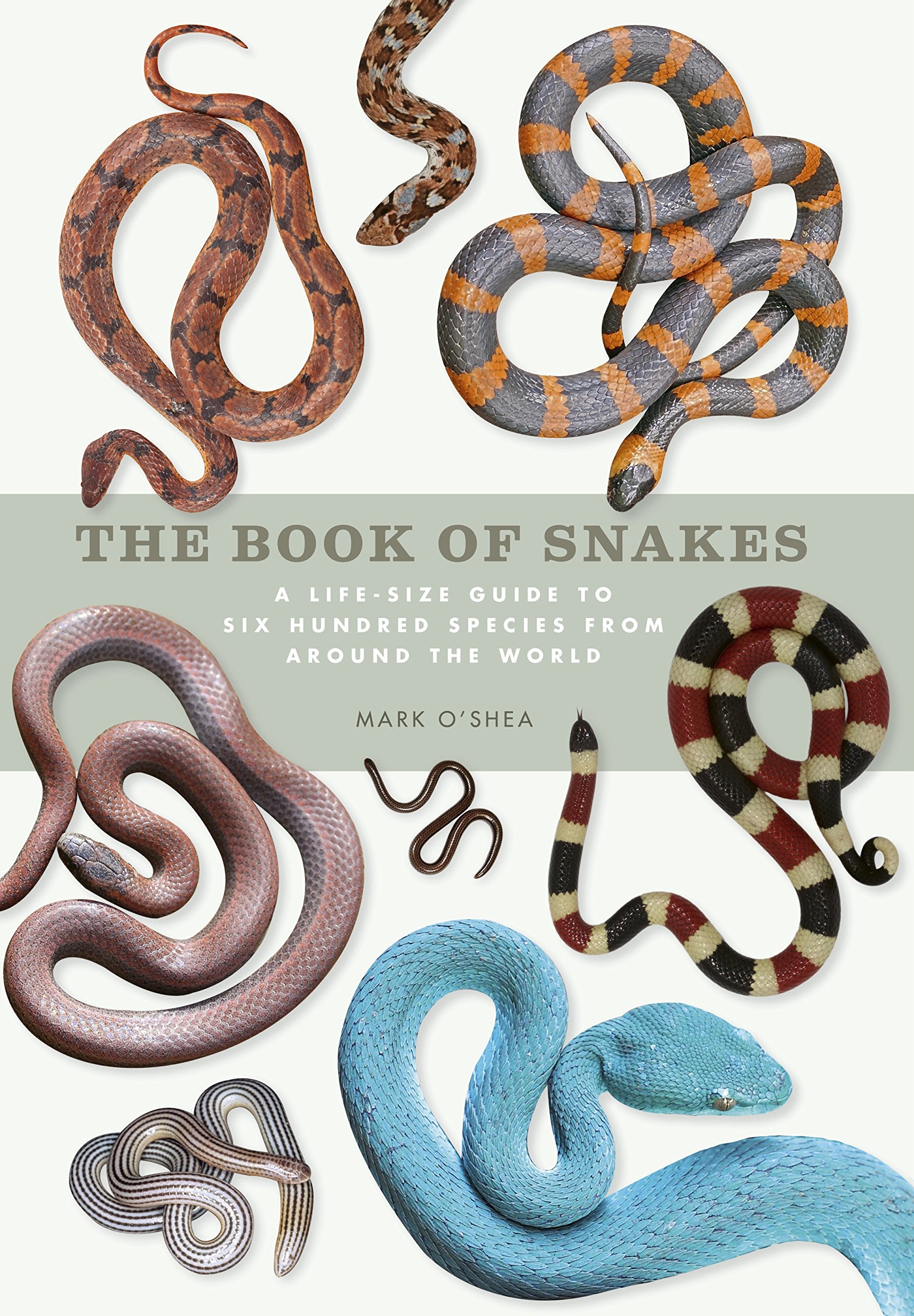 The Book of Snakes: A life-size guide to six hundred species from around the world Mathematics