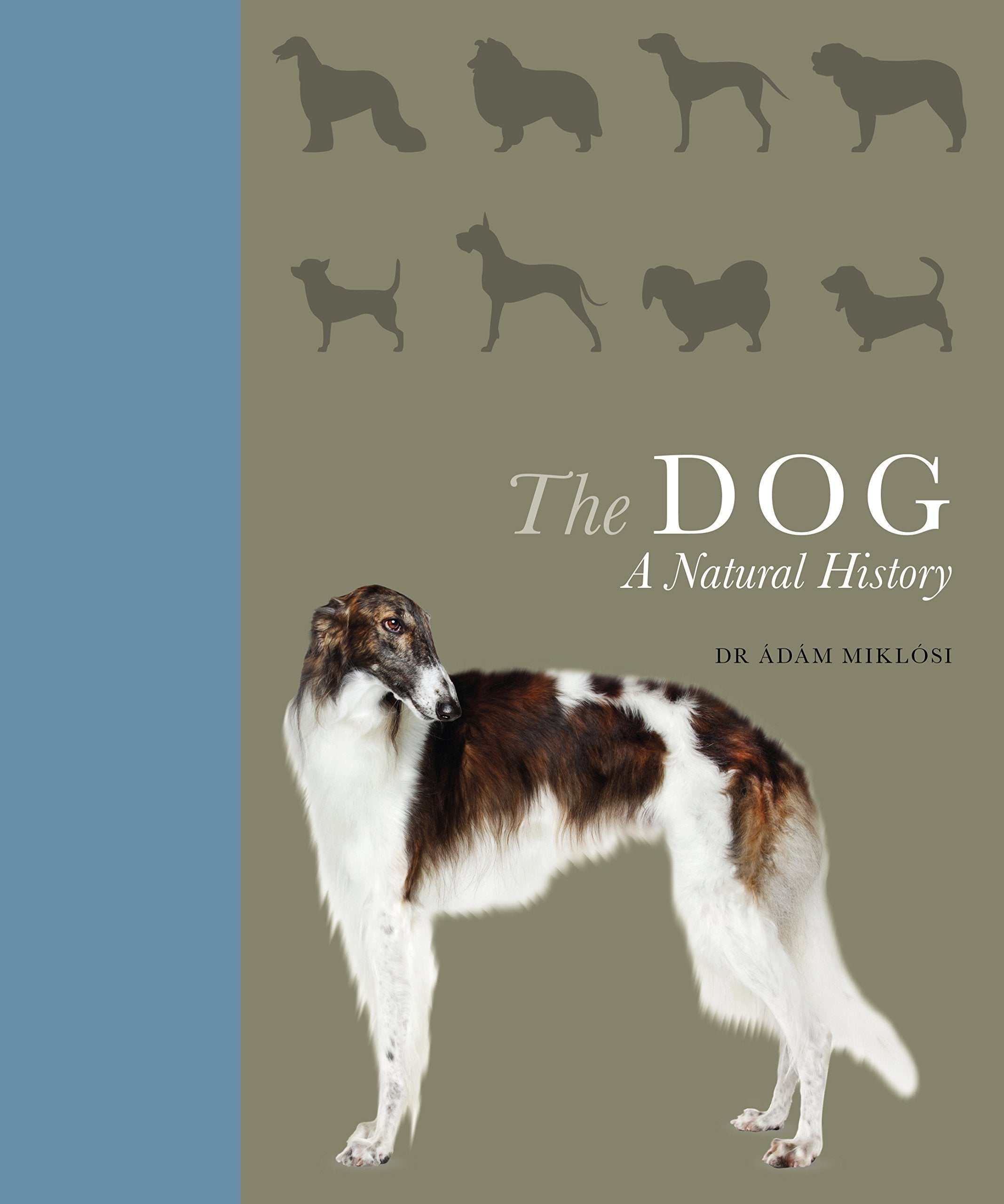 Product Image: The Dog
