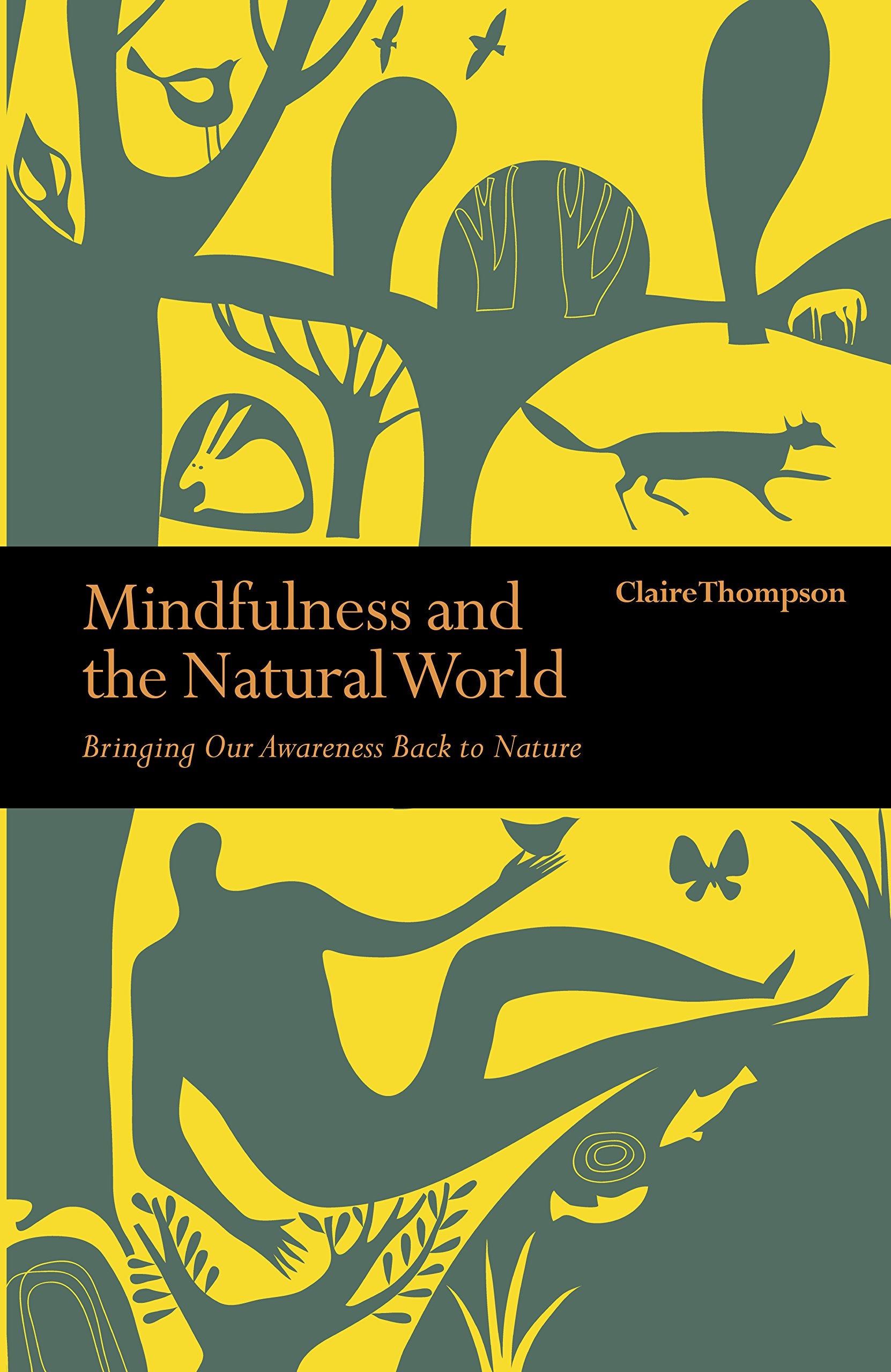 Mindfulness and the Natural World: Bringing our Awareness Back to Nature (Mindfulness series) Mathematics