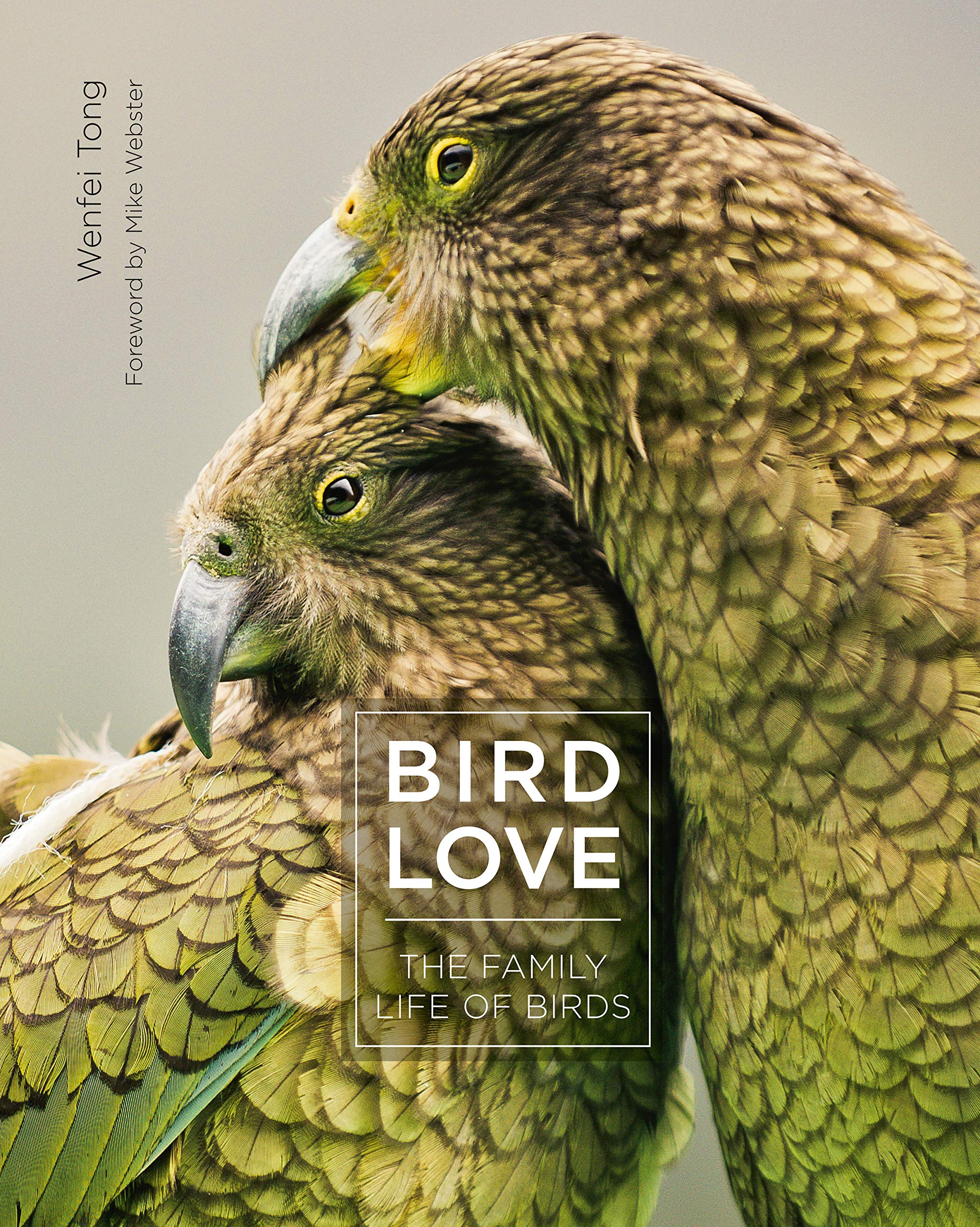 Bird Love: The Family Life of Birds Mathematics