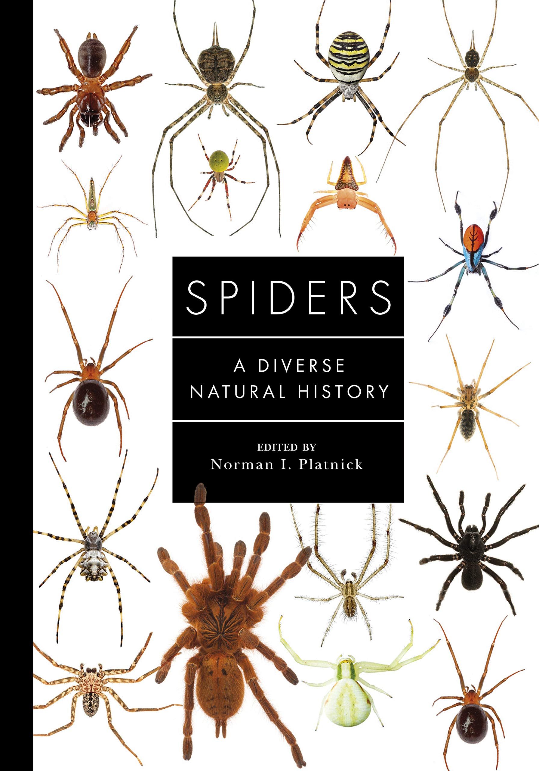 Spiders of the World: A Natural History Mathematics