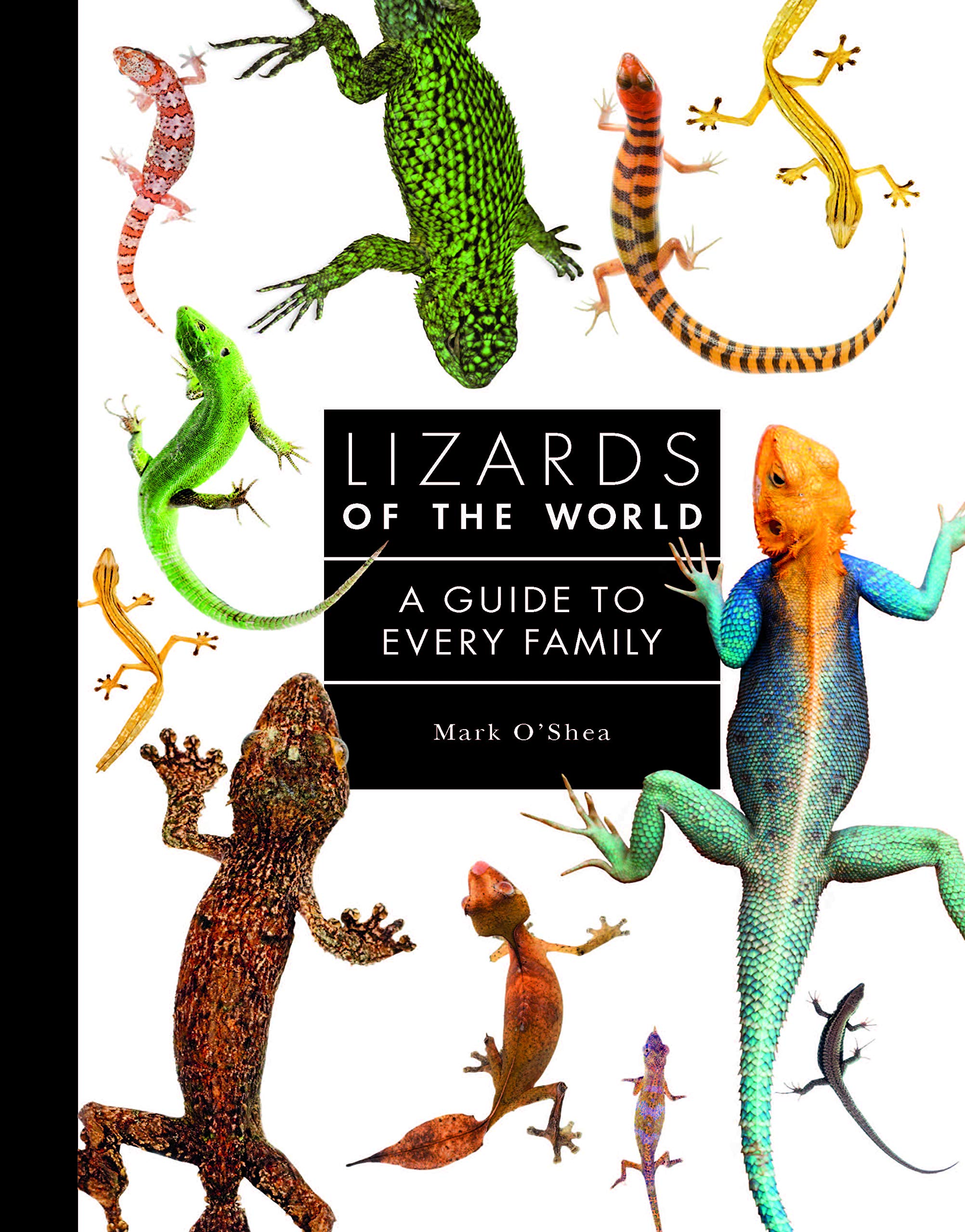 Lizards of the World: A Guide to Every Family Mathematics