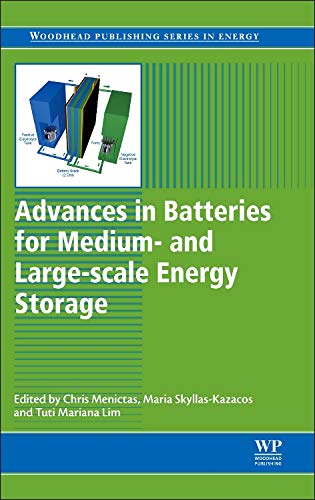 Advances in Batteries for Medium and Large-Scale Energy Storage: Types and Applications (Woodhead Publishing Series in Energy, Band 67) Business & Technology