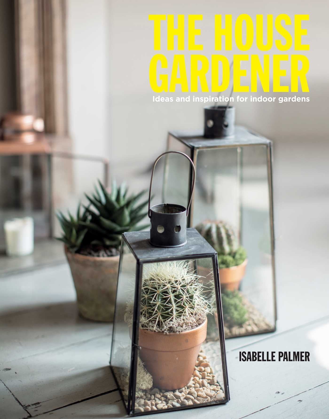 The House Gardener: The Balcony Gardener Heads Indoors! Garden & Plants