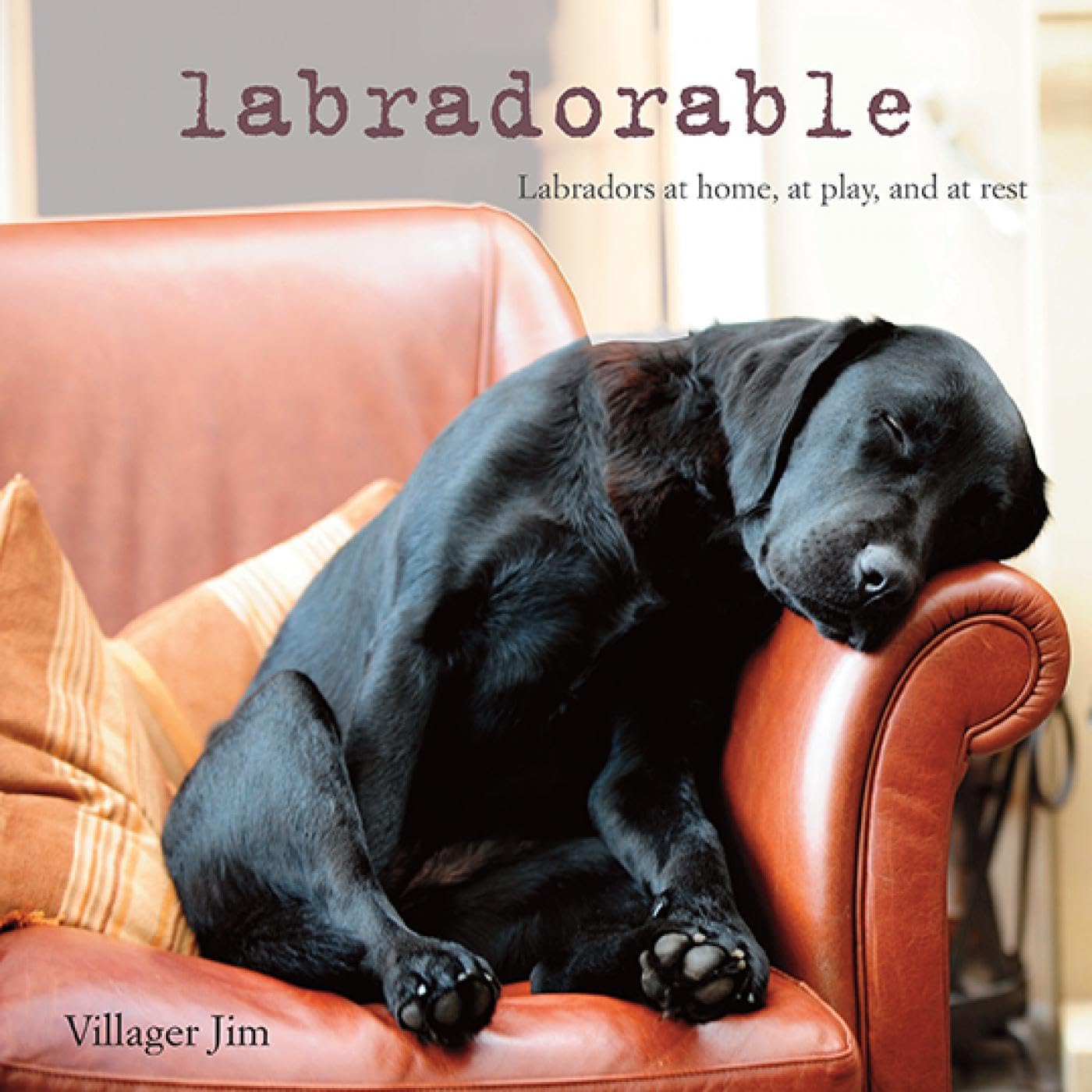 Labradorable: Labradors at home, at large, and at play Travel