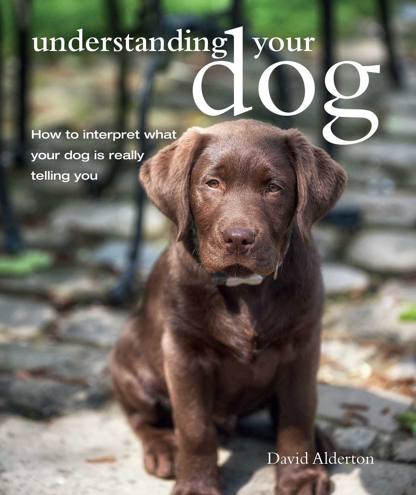 Understanding Your Dog: How to Interpret What Your Dog Is Really Telling You book