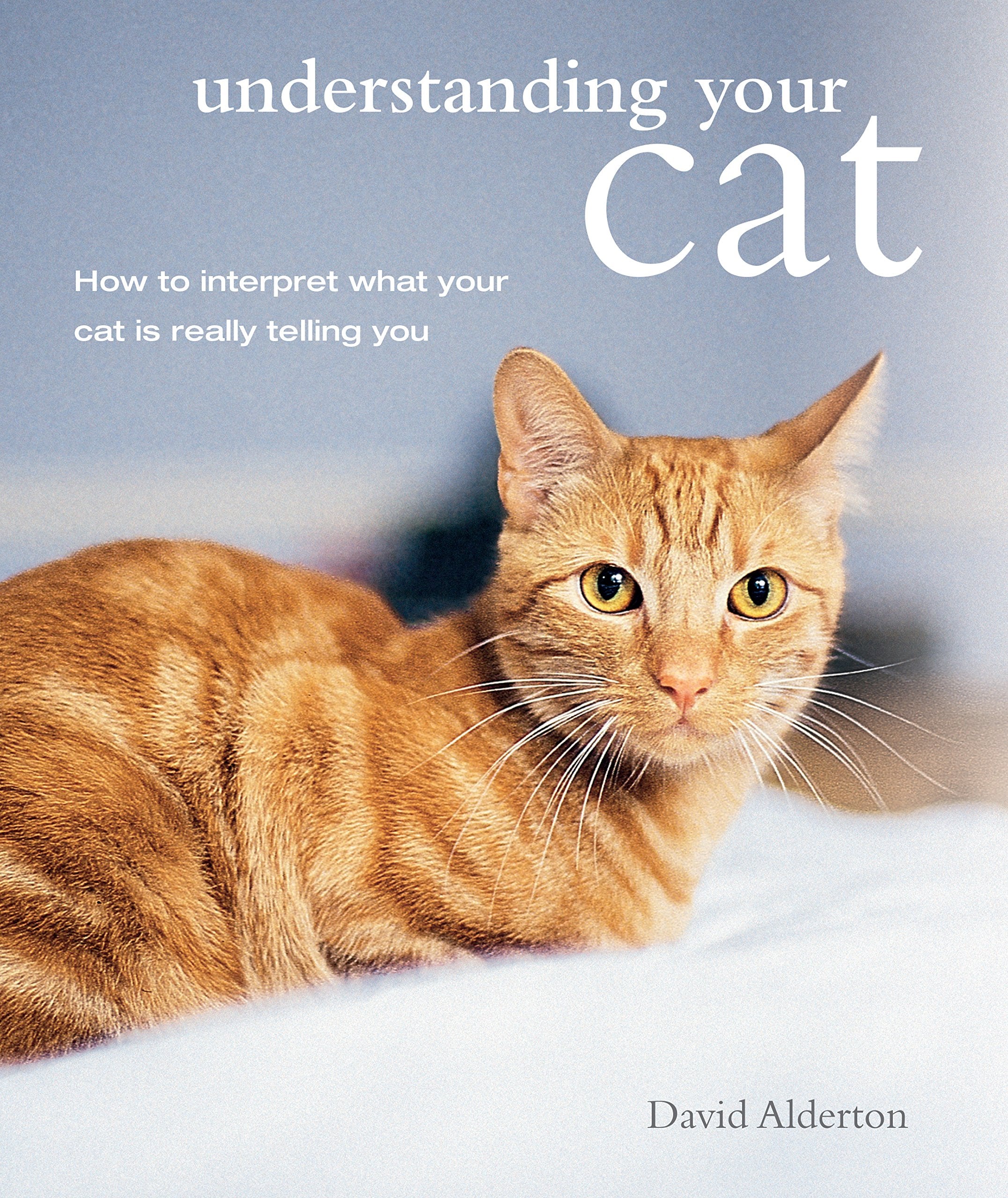 Understanding Your Cat: How to interpret what your cat is really telling you Pets