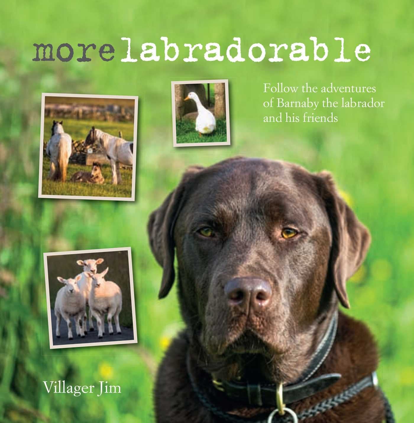 Morelabradorable: Follow the adventures of Barnaby the labrador and his friends Travel