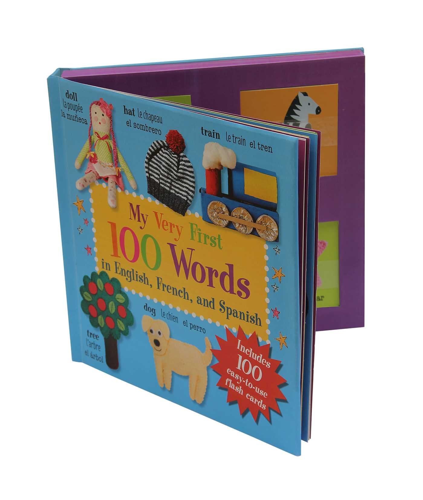 My Very First 100 Words: In English, French, and Spanish Computer Science